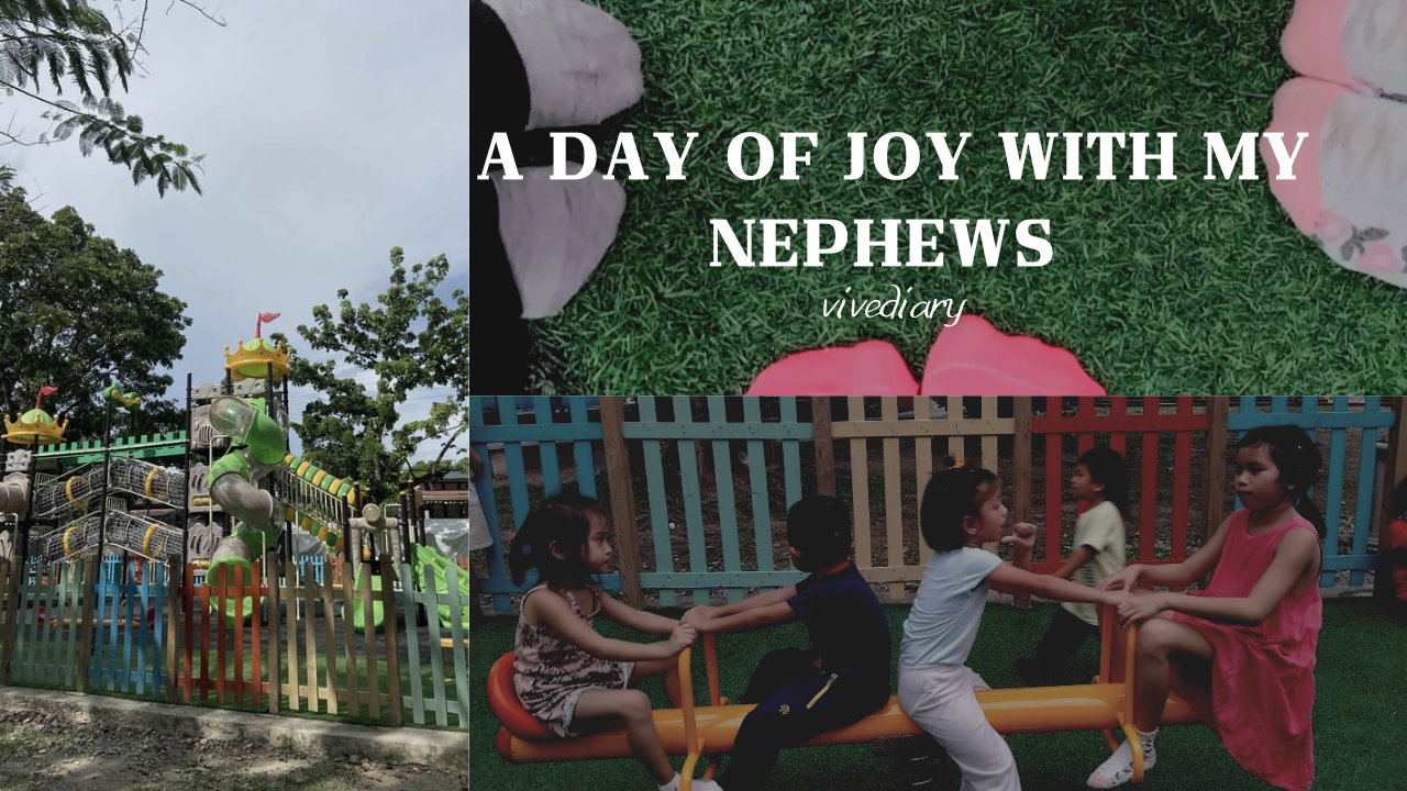A Day of Joy with my Nephews 