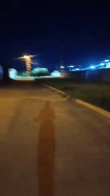 1.gif
