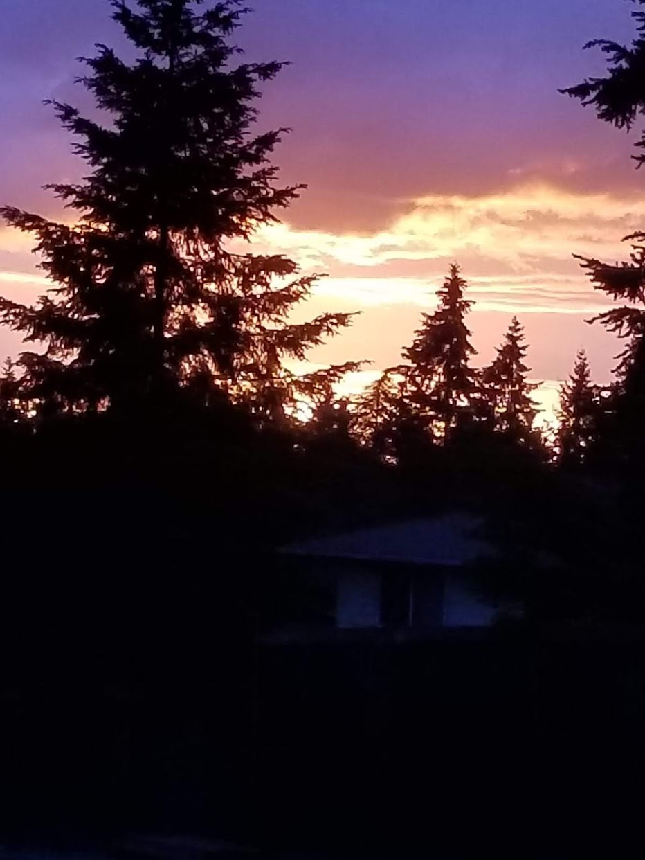 Bellevue, WA