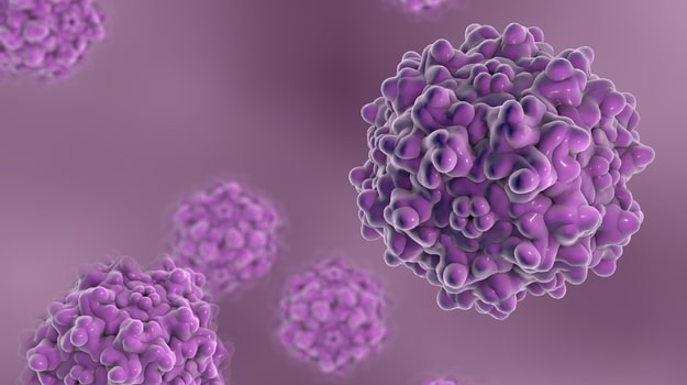Image Source: https://www.biospace.com/article/agtc-boosts-aav-manufacturing-productivity-with-herpes-simplex-virus/