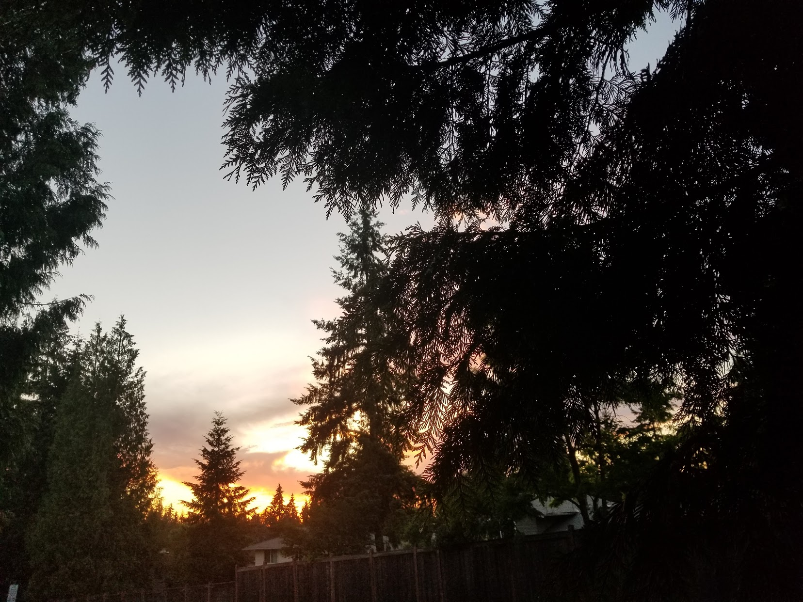Bellevue, WA