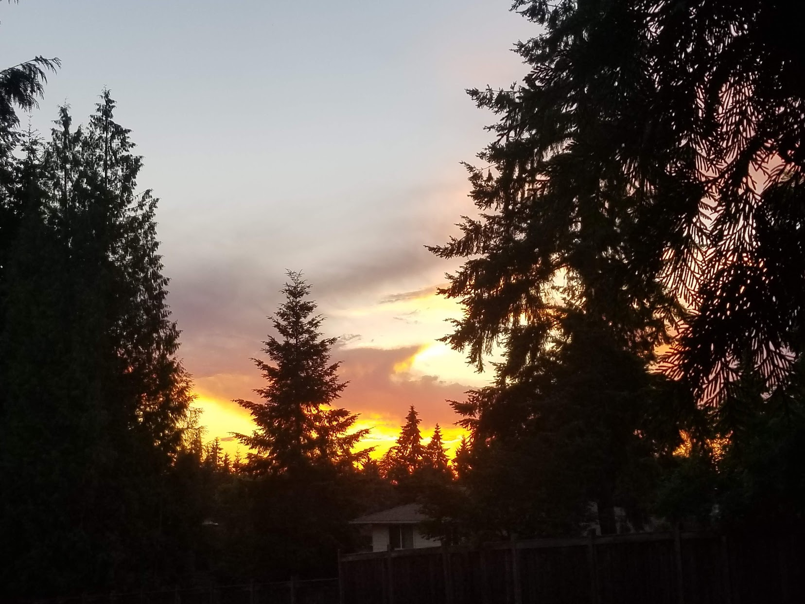 Bellevue, WA