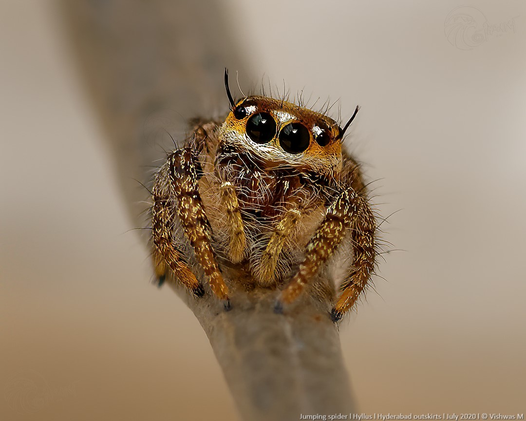 FBL-_DSC4511_DxO 1080.jpg