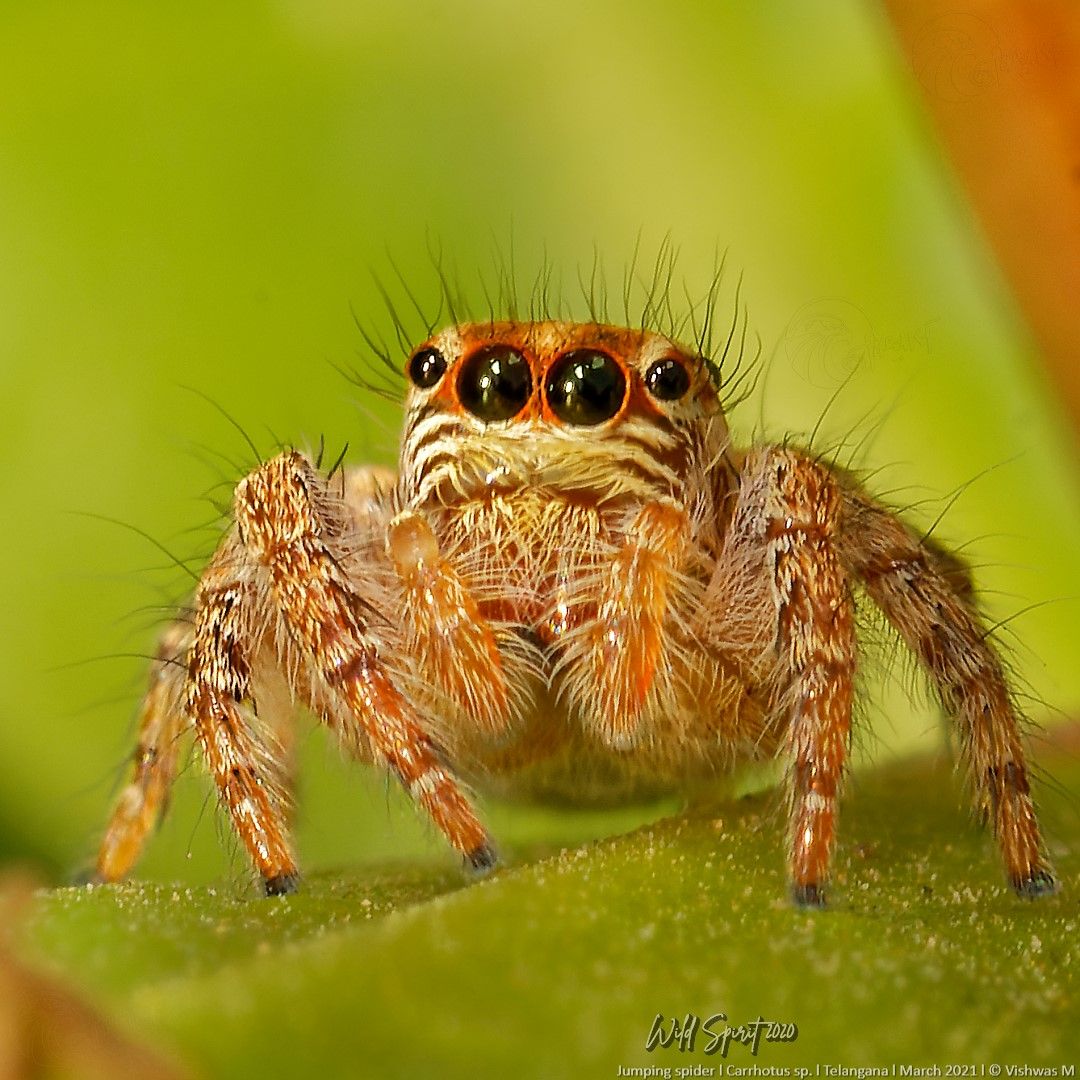 FBL-_DSC2808_DxO_PS FB 1080.jpg