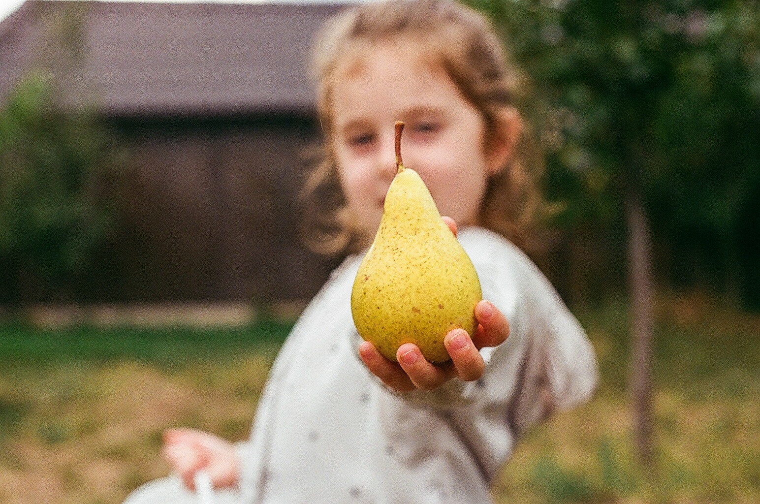 00670016.jpg