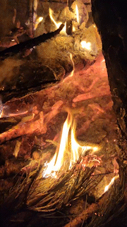 video_2023-01-23_19-34-32_AdobeExpress.gif