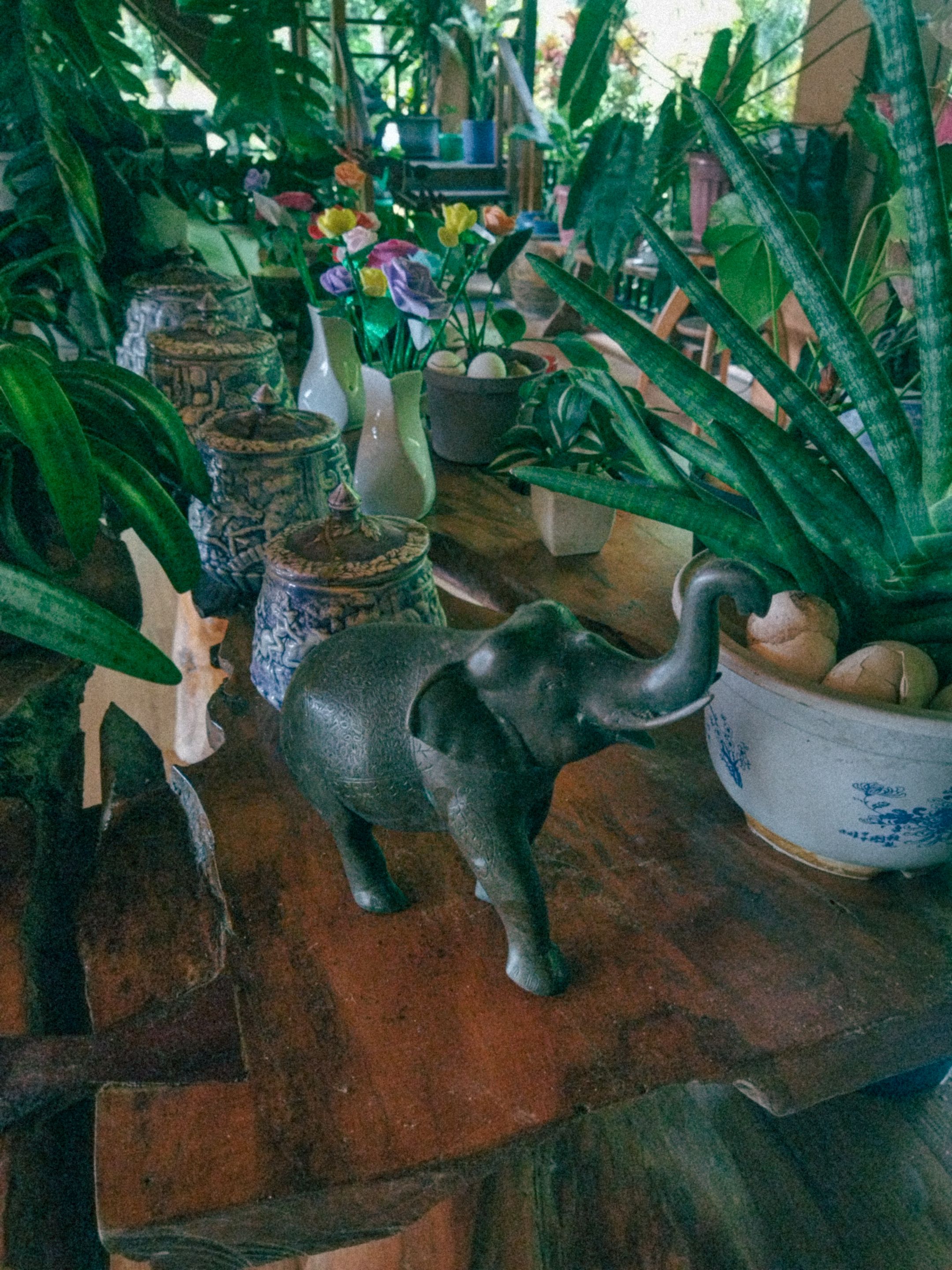 10a.jpg