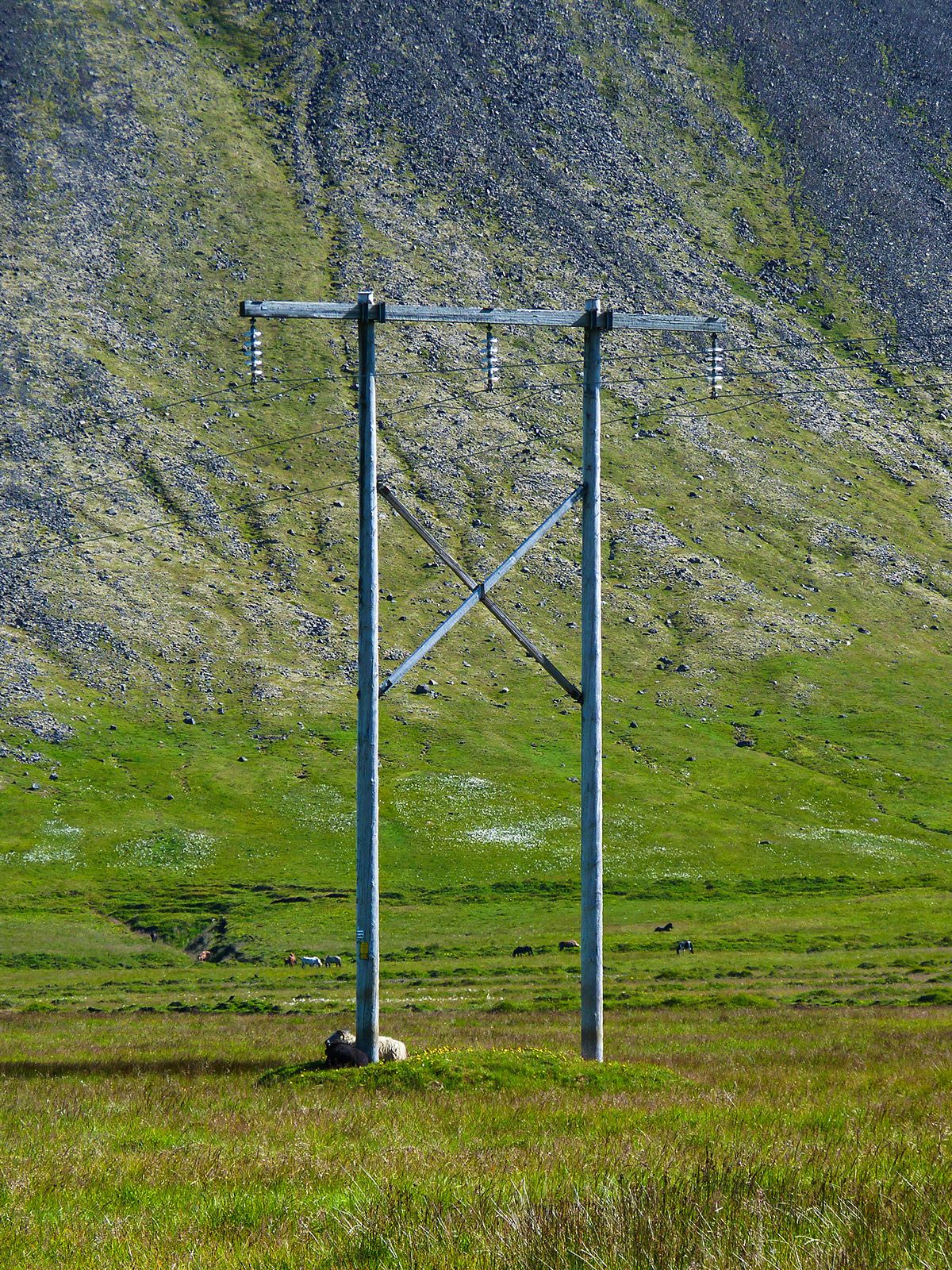 P1260184.jpg