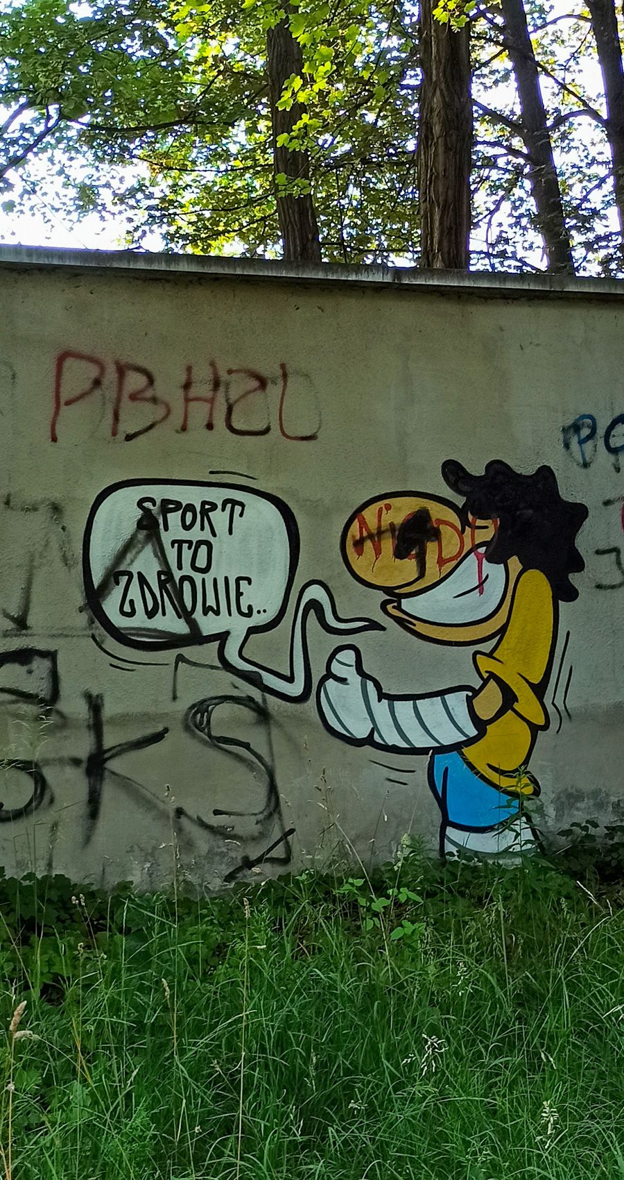 1656276953438.jpg