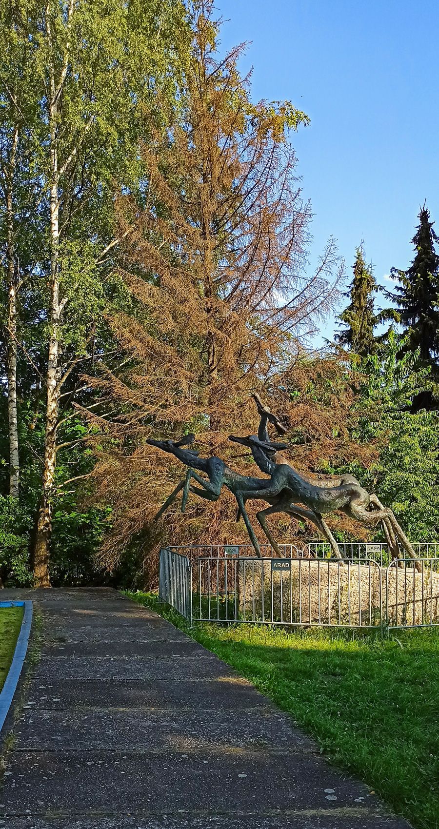 1656276953598.jpg