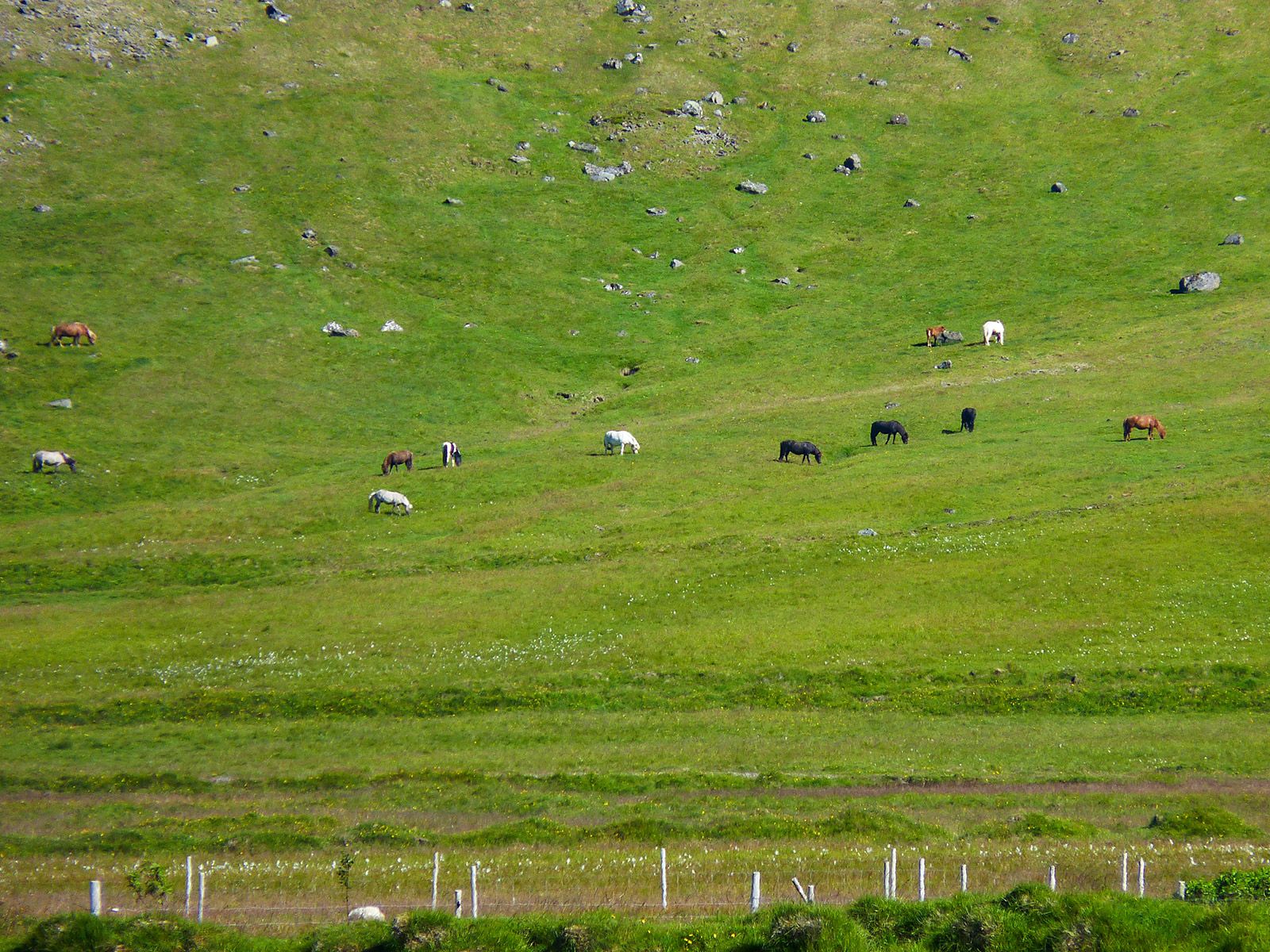 P1260345.jpg