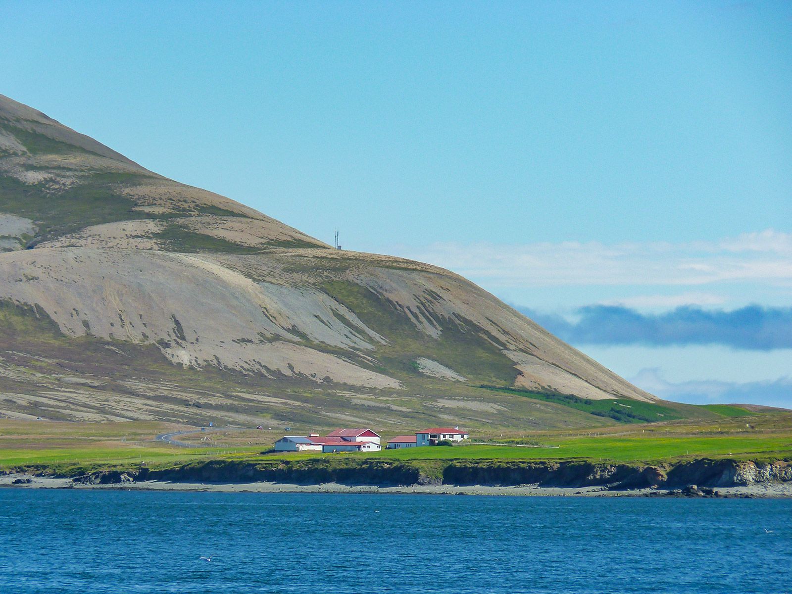 P1260134.jpg