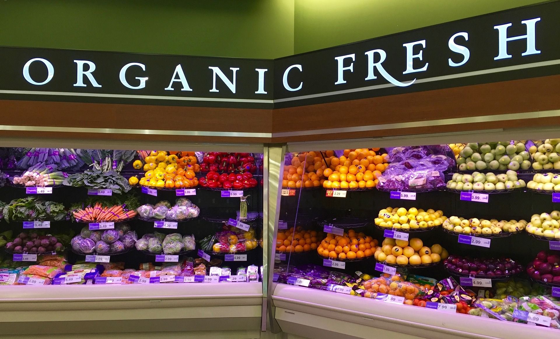 organic-gc9ebb3eee_1920.jpg
