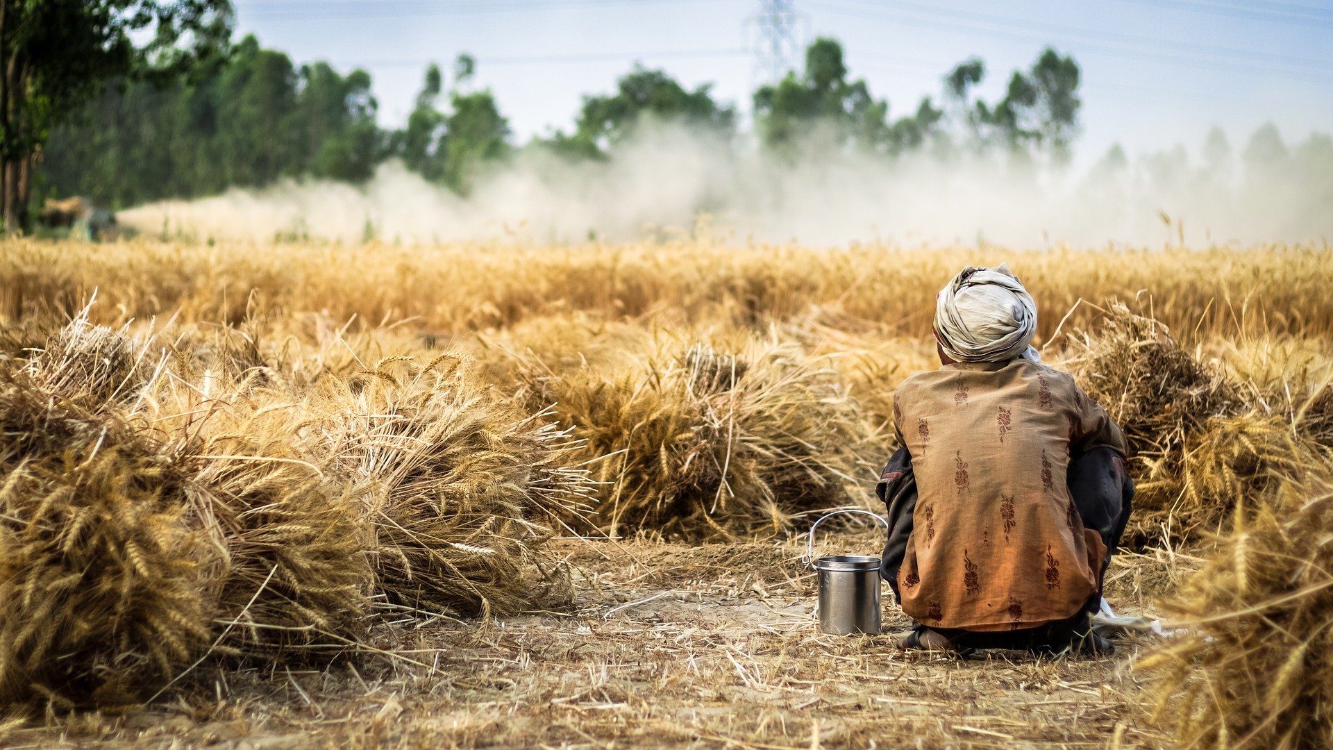 farmer-g3e340caff_1920.jpg