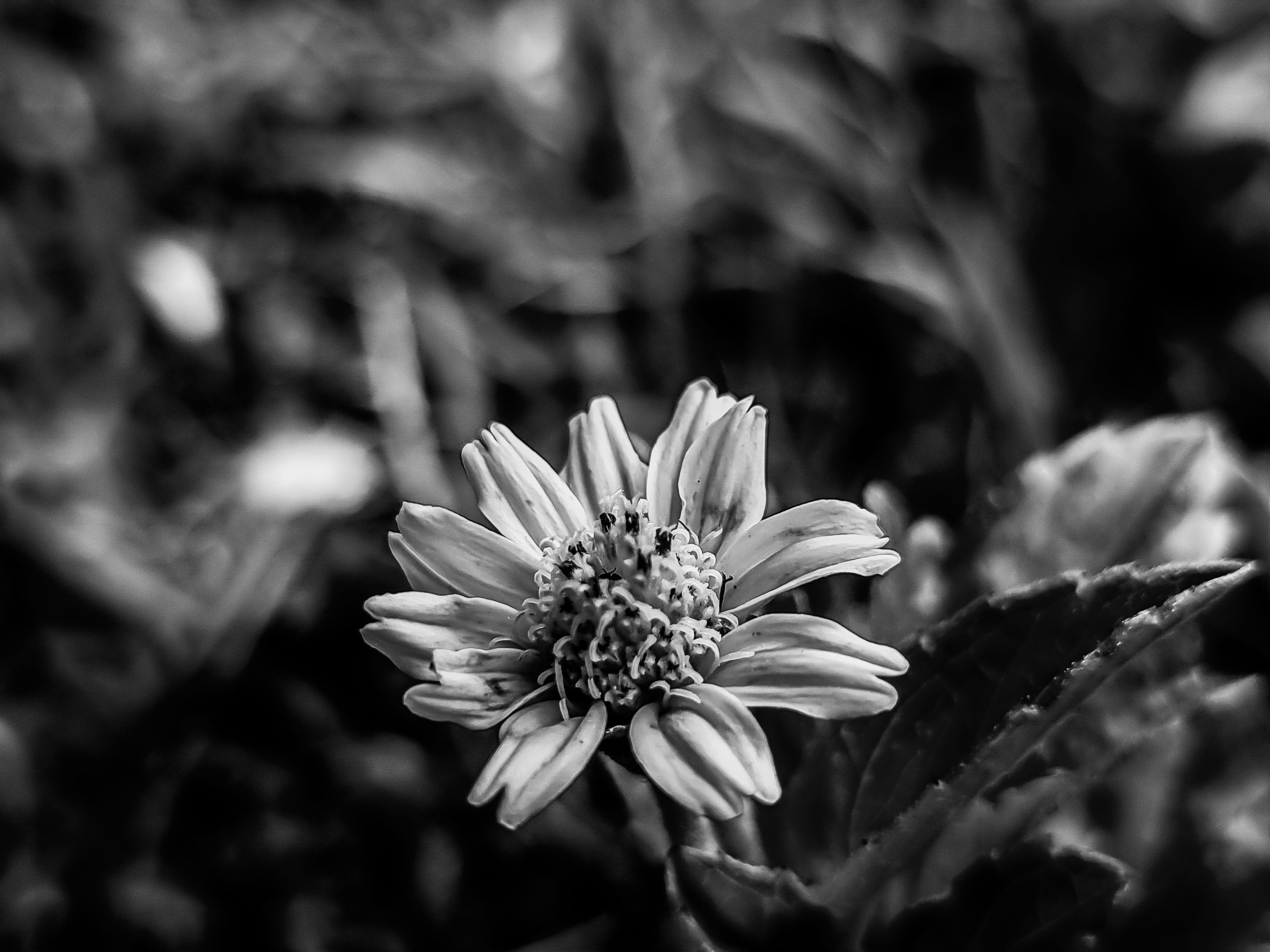 20220804_145303.jpg