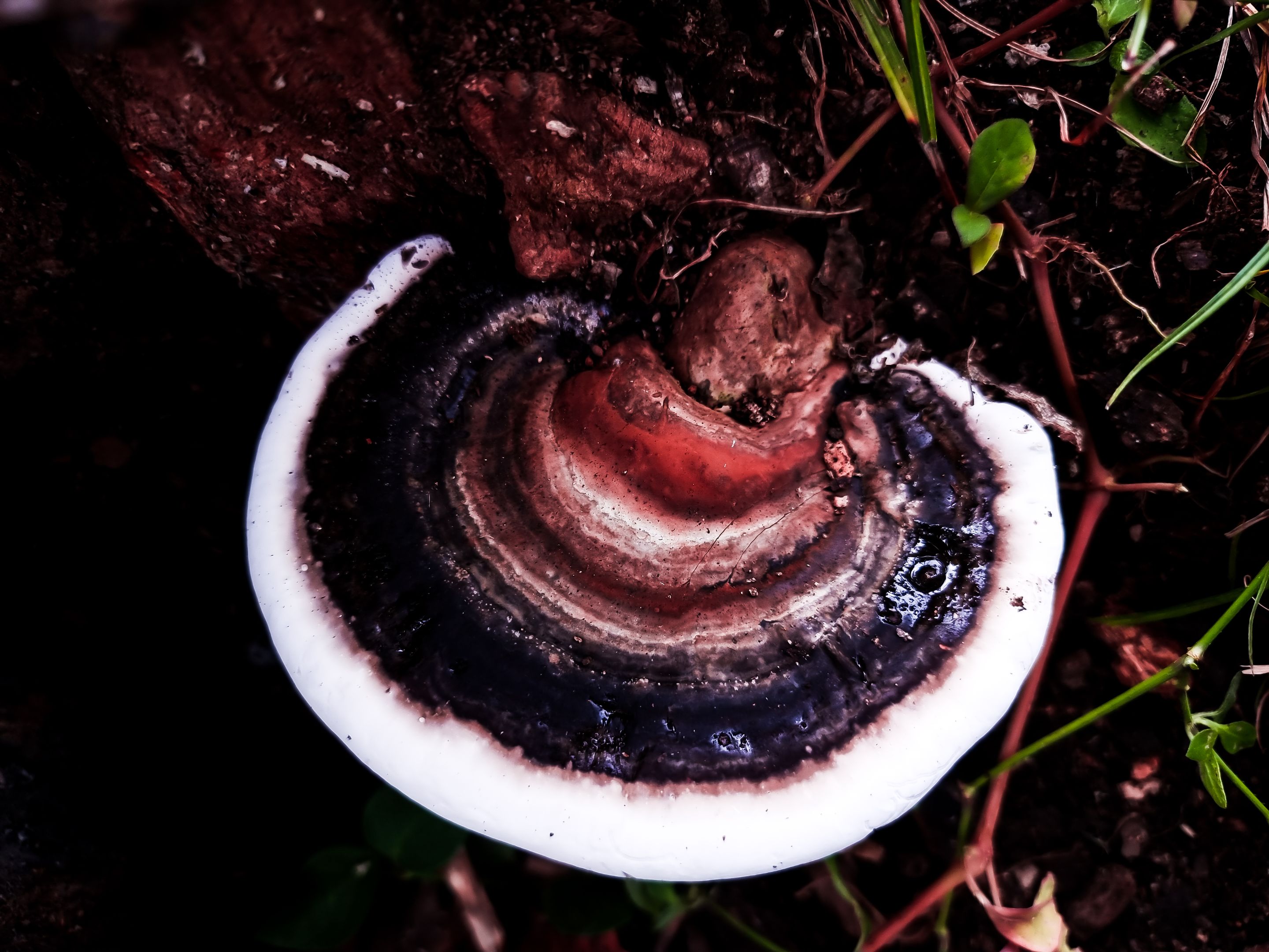 20220804_144315.jpg