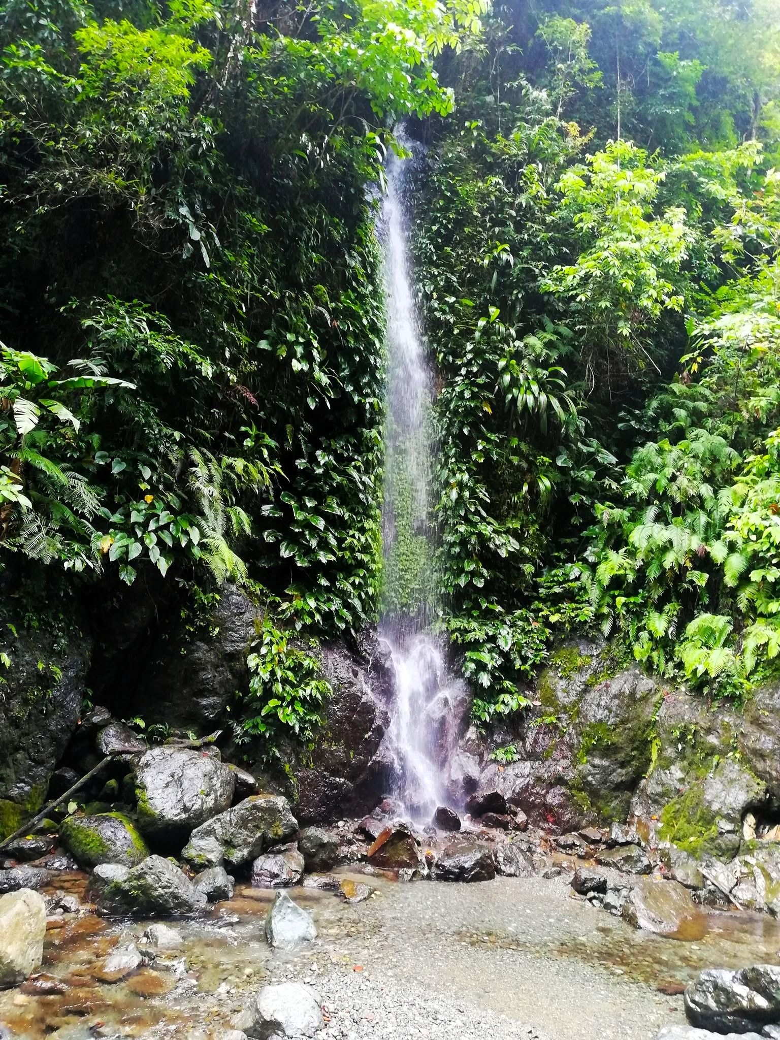 6. Mini fall.jpg