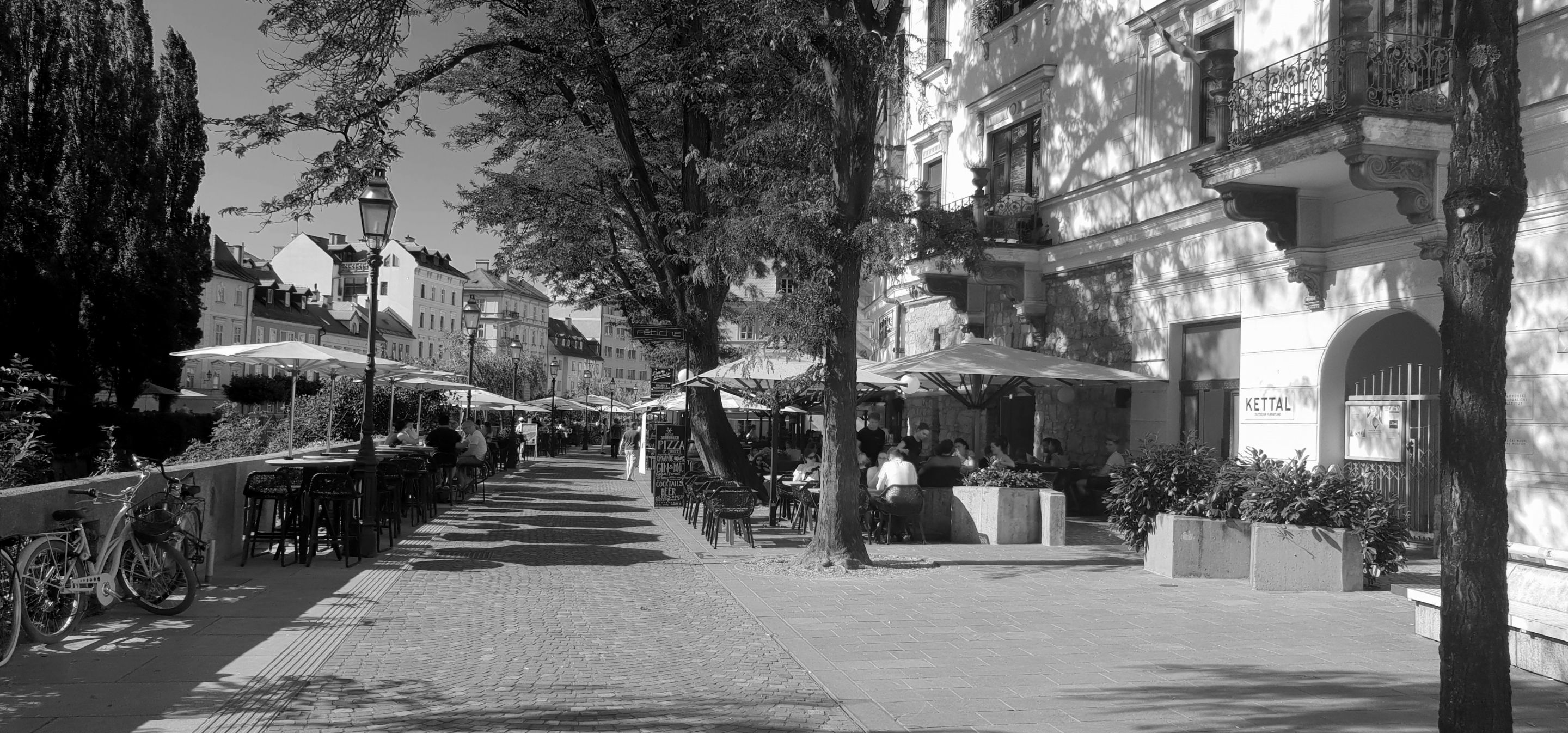 20190628_172150.jpg