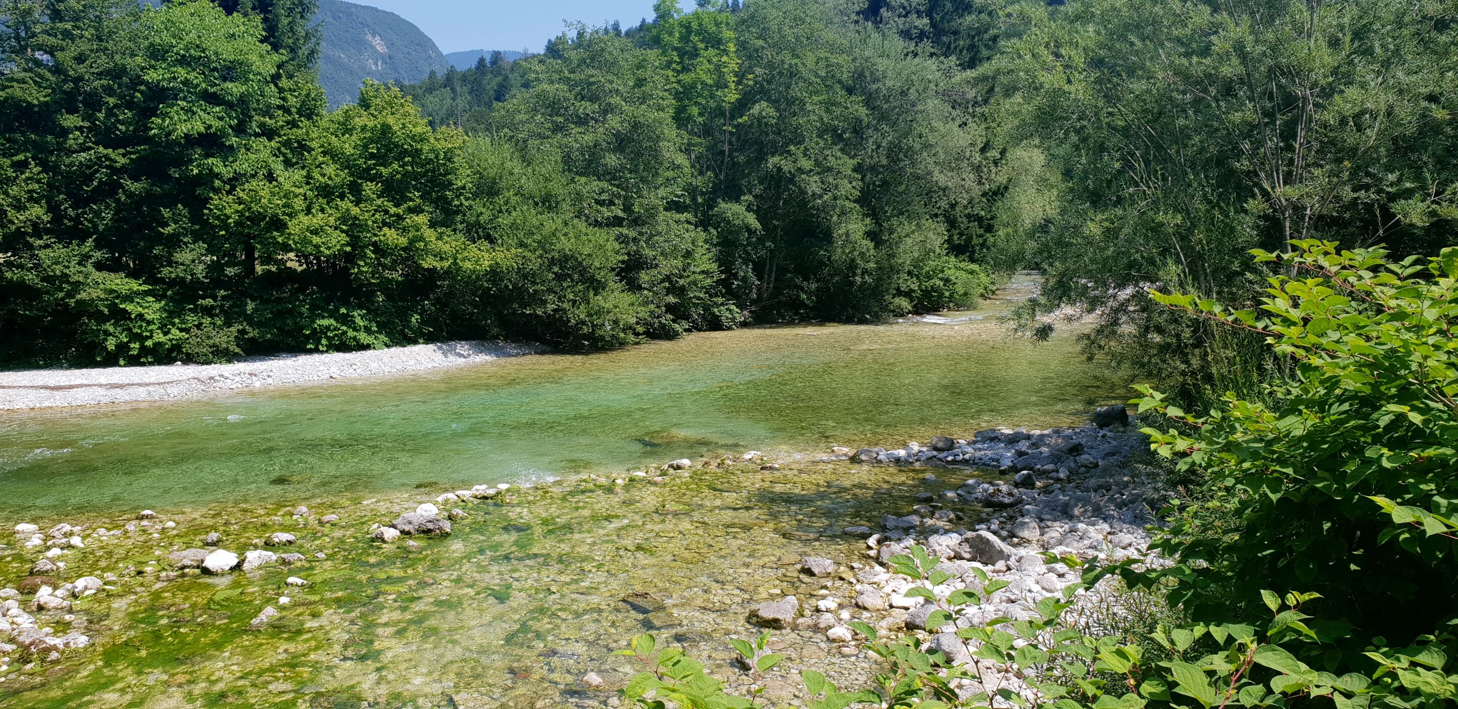 20190720_123820.jpg