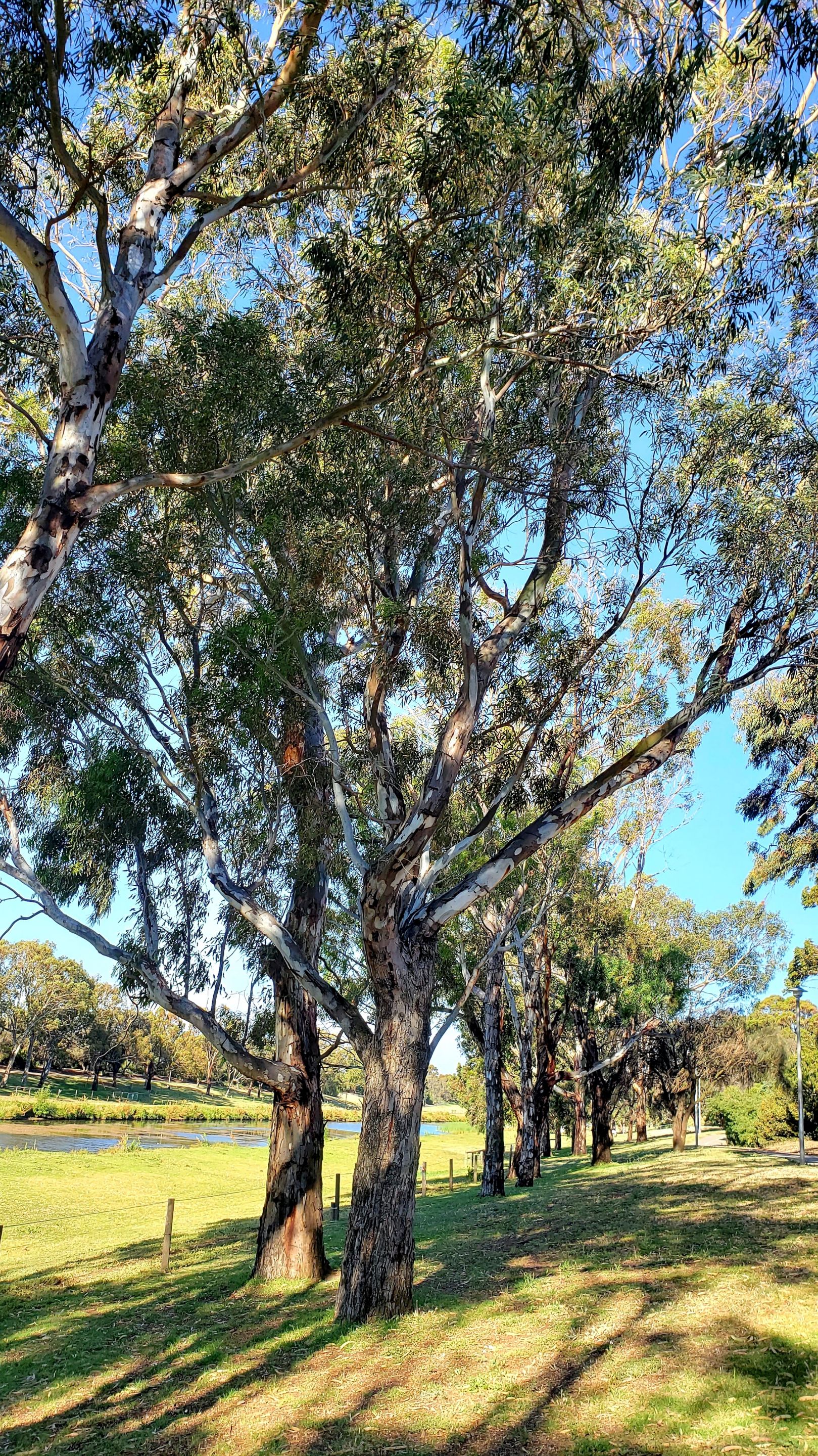20211202_223308.jpg