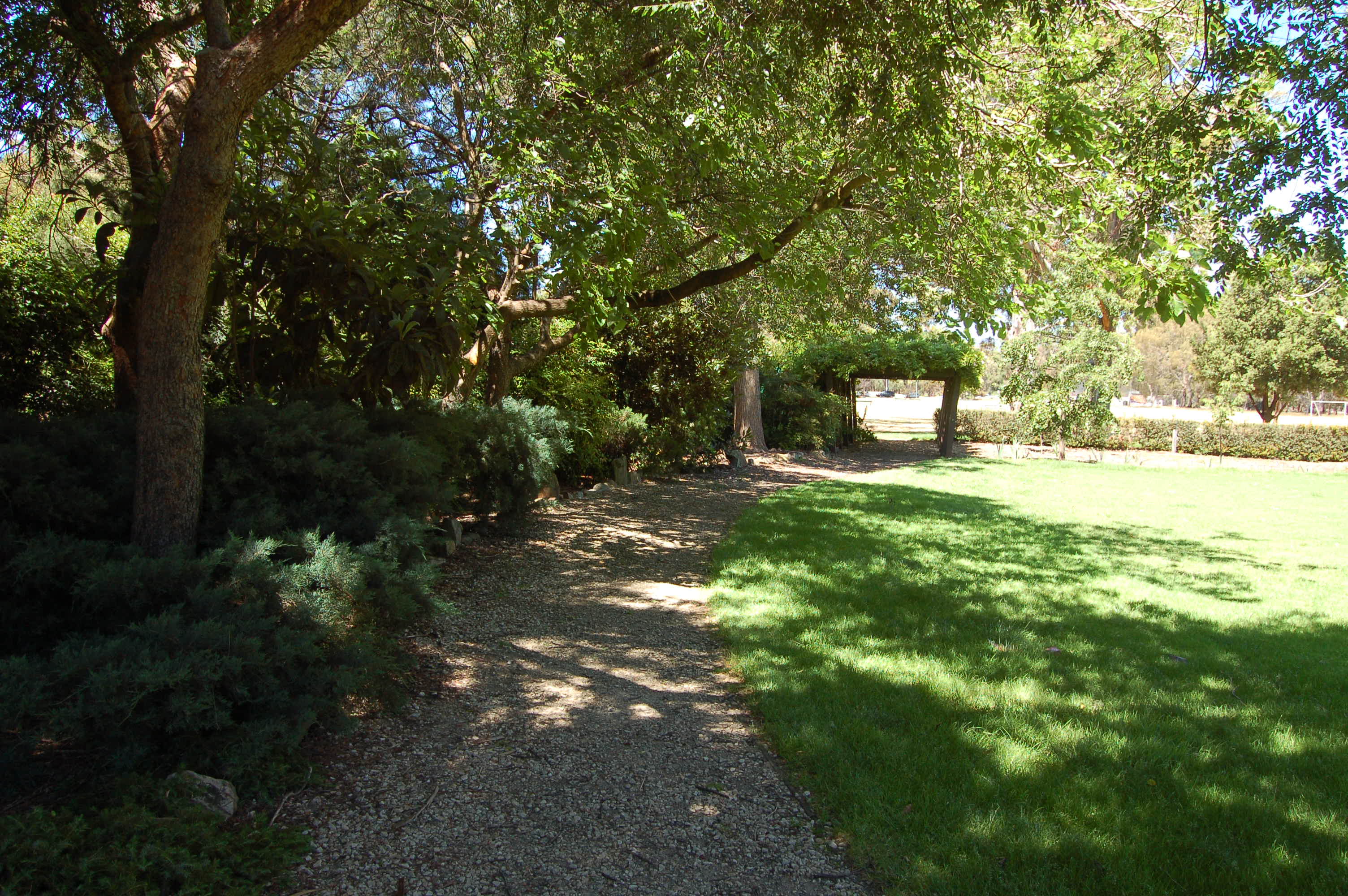 DSC_0089.JPG