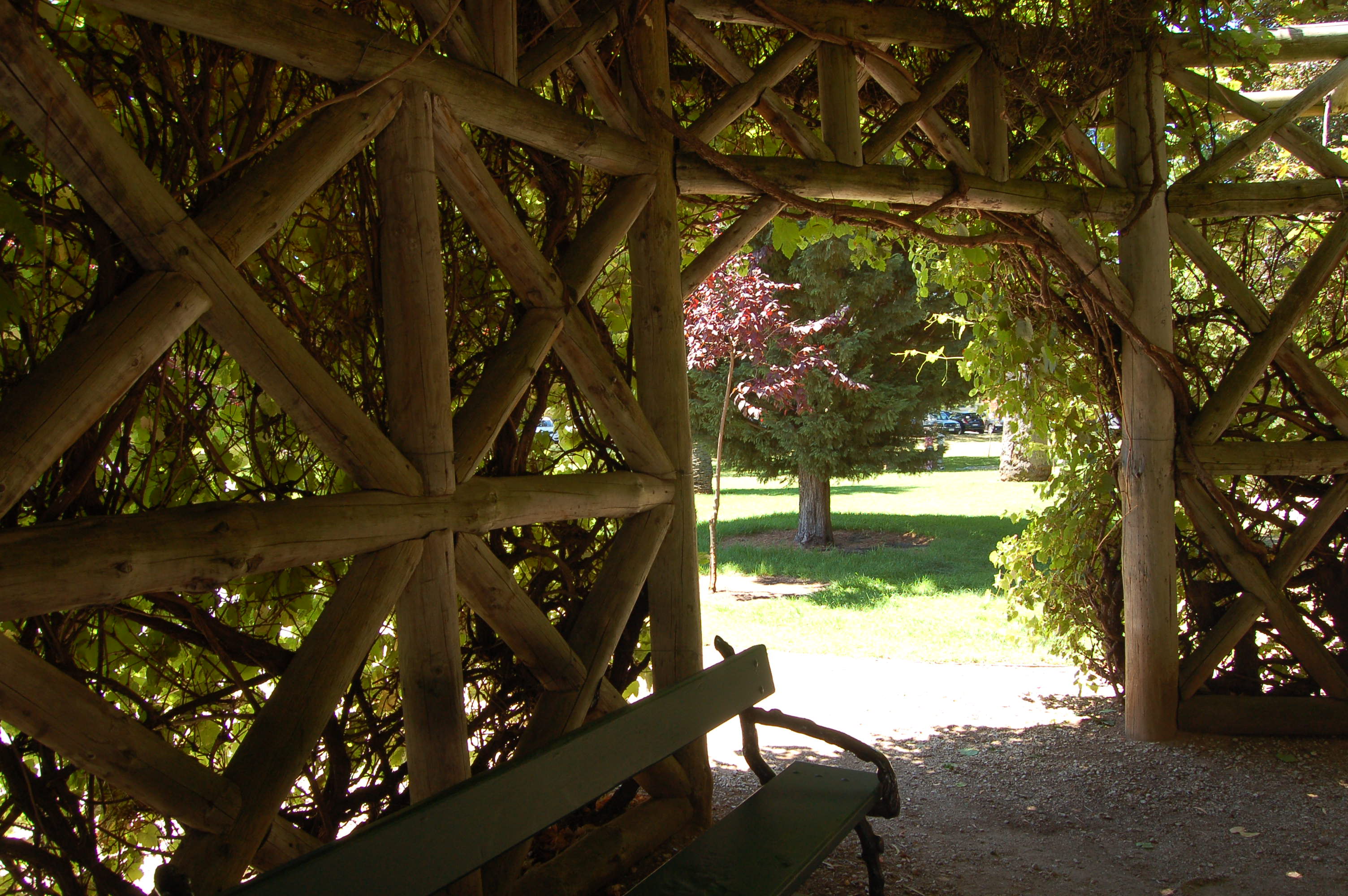 DSC_0082.JPG