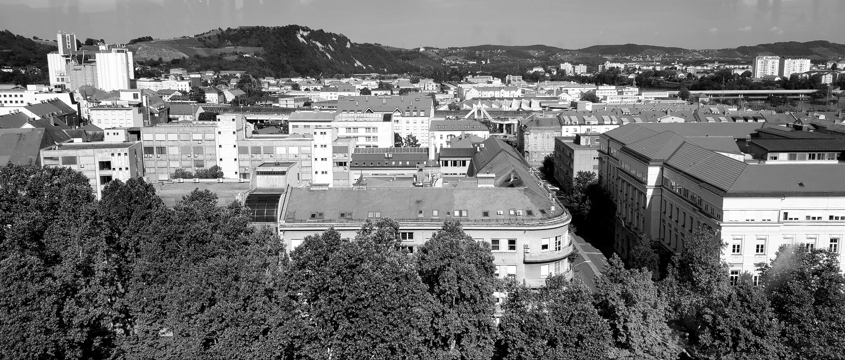 20190719_220041.jpg