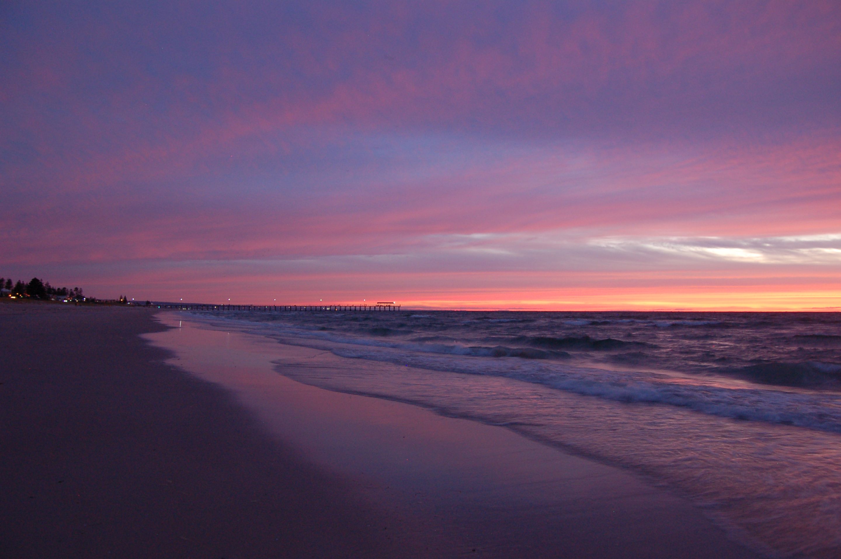 DSC_0302.JPG