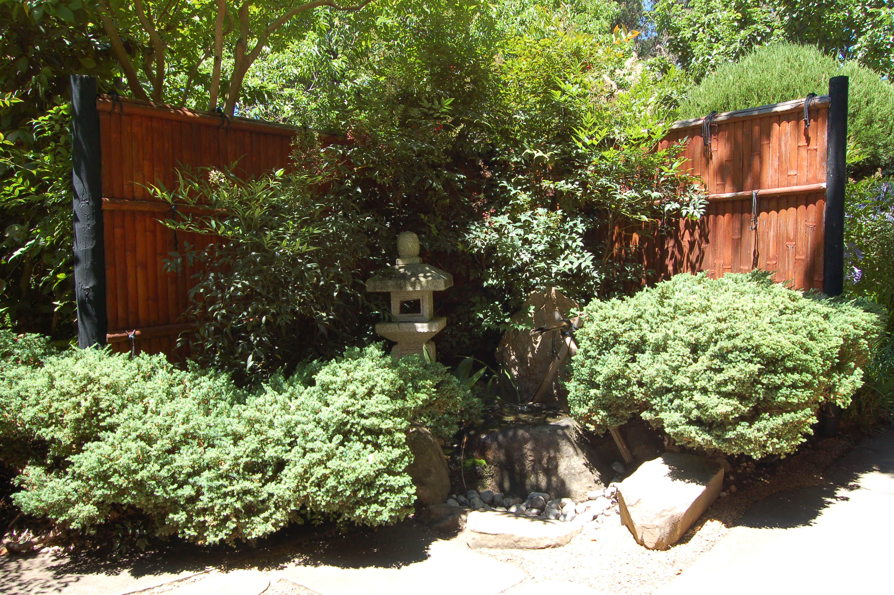 DSC_0052.JPG