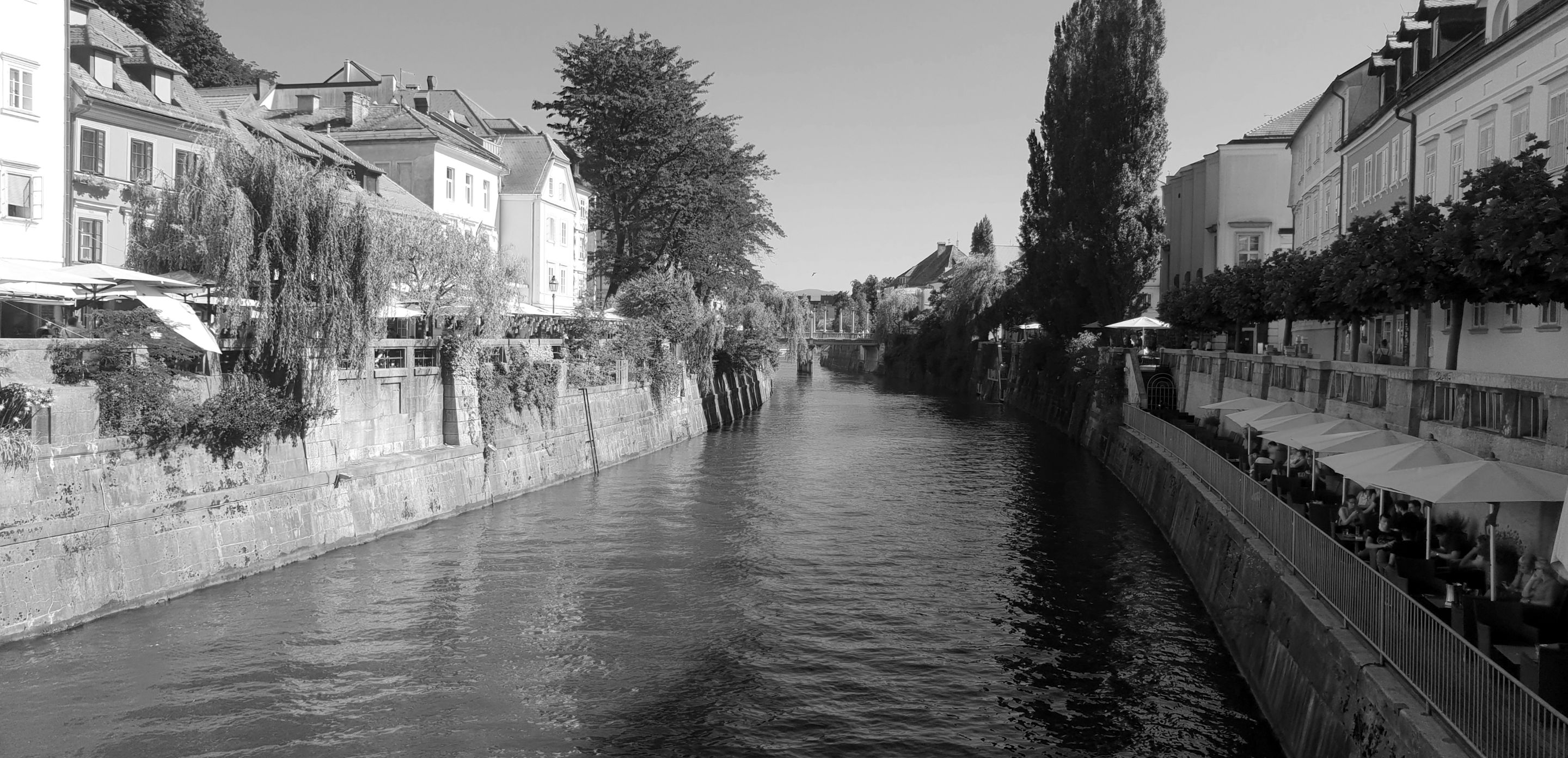 20190628_165319.jpg