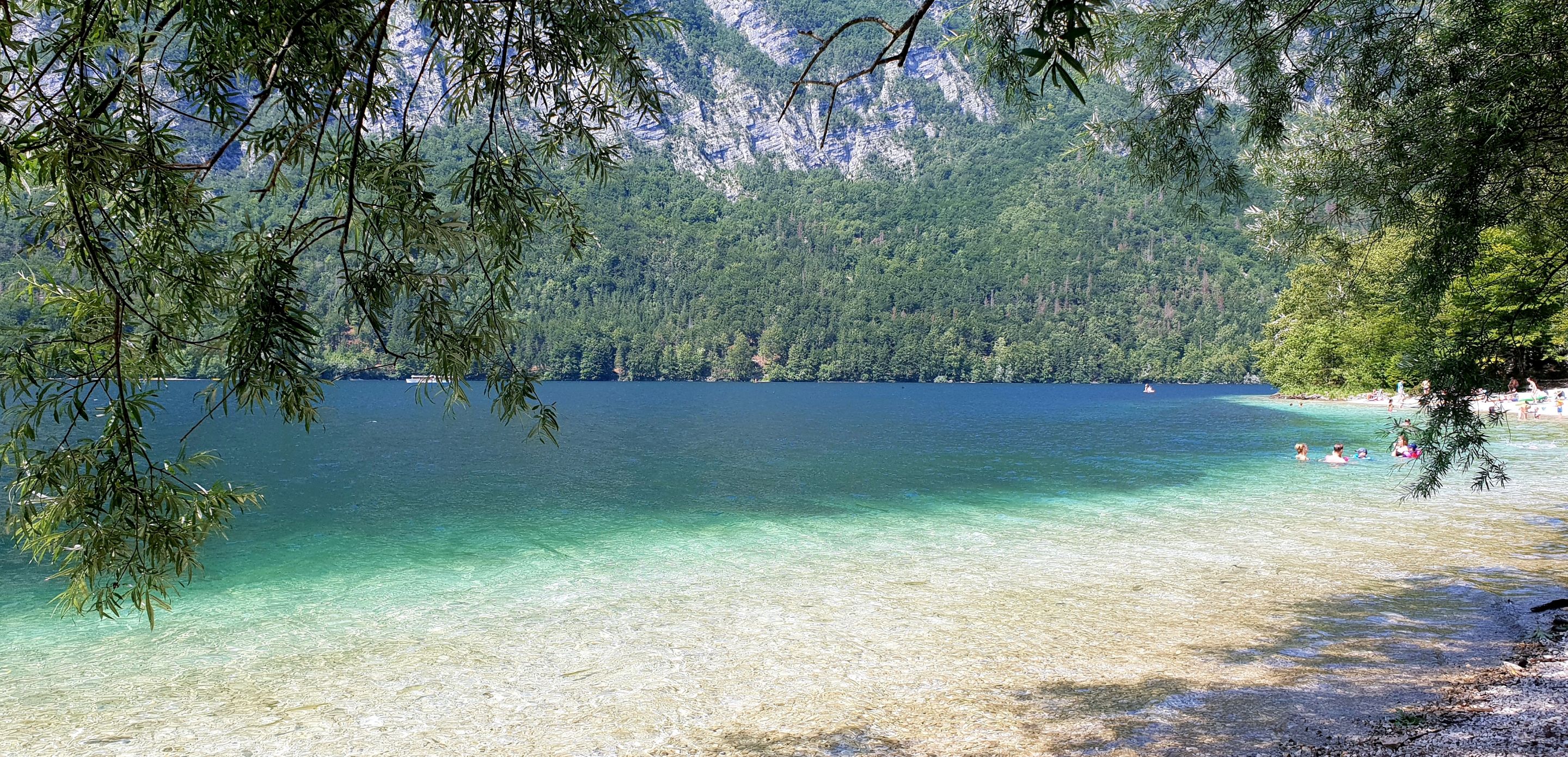 20190720_204151.jpg