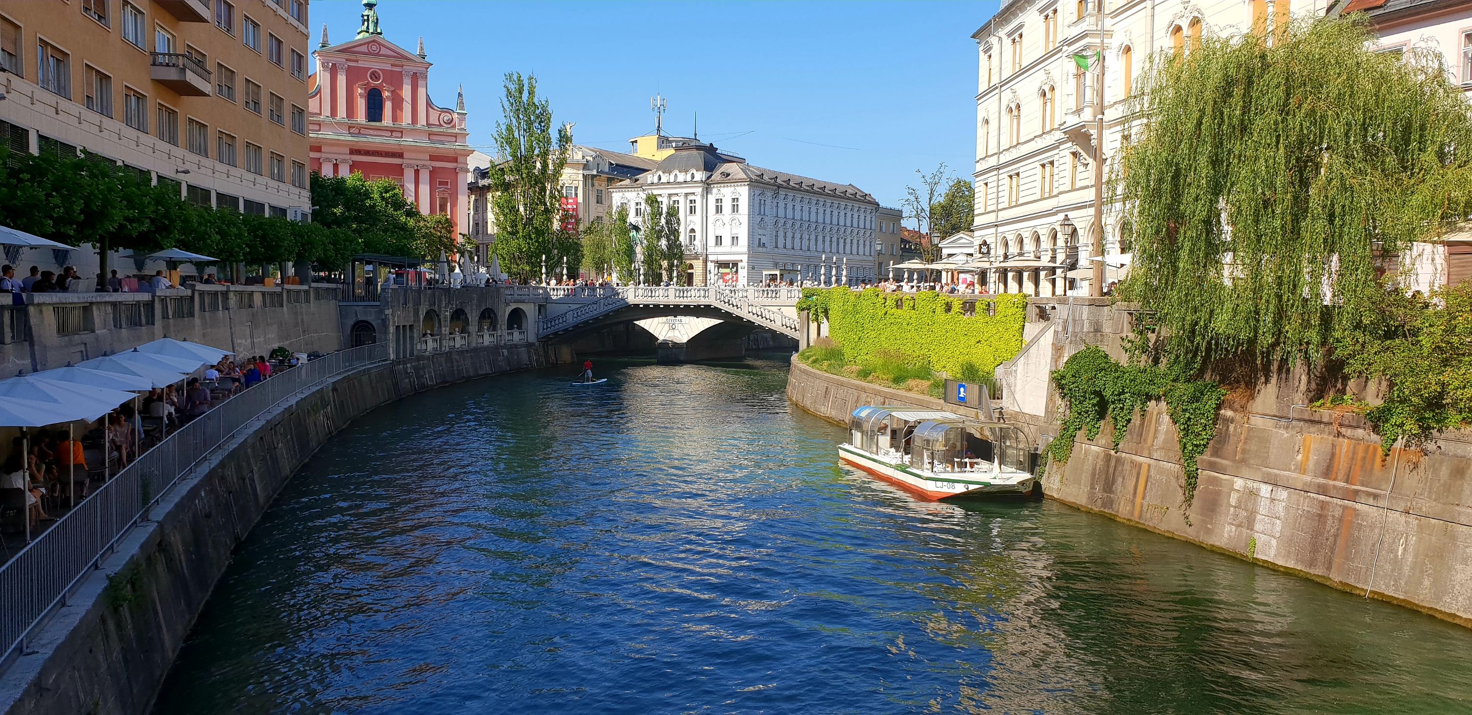 20190630_183059.jpg