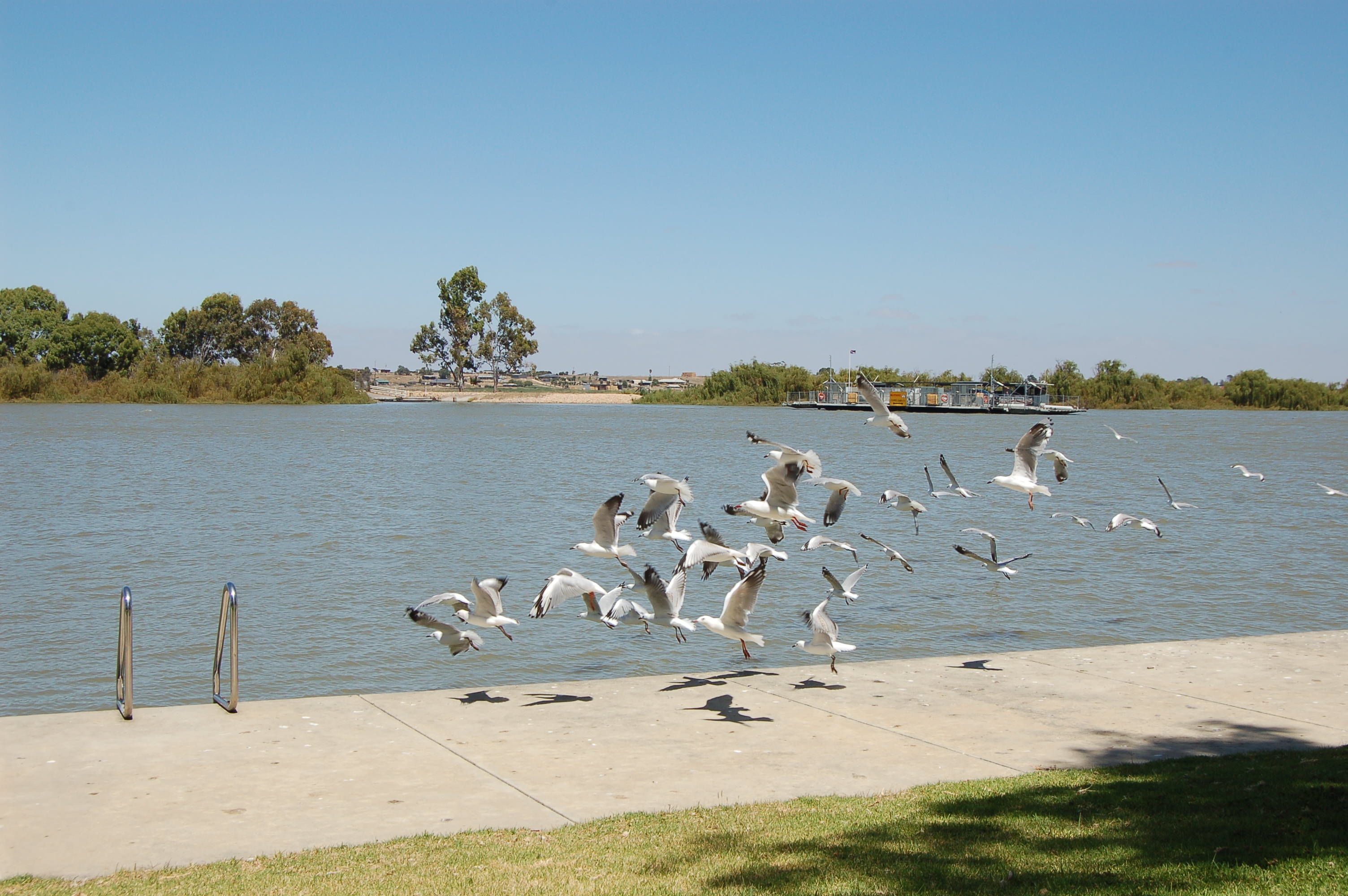 DSC_0122.JPG