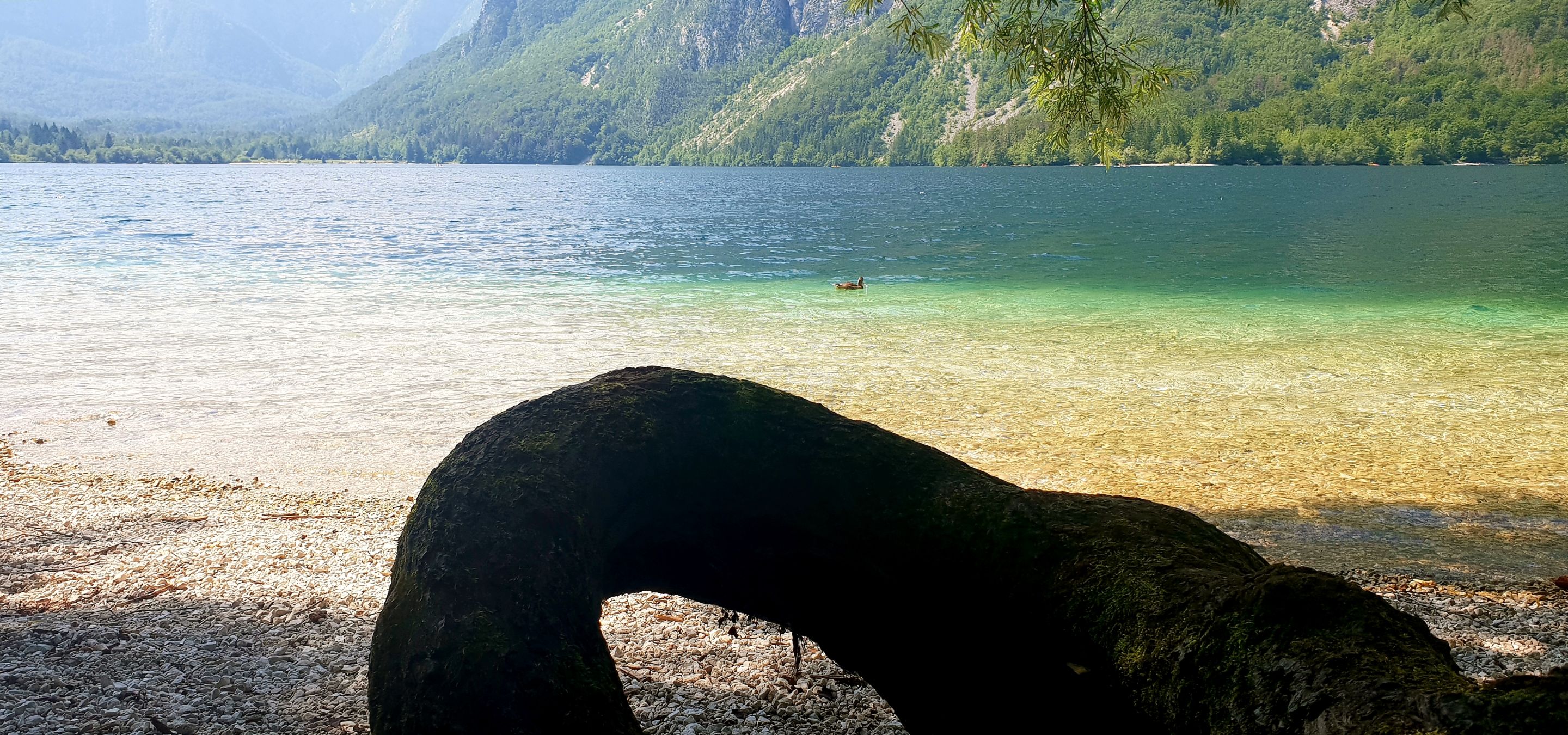 20190720_204135.jpg