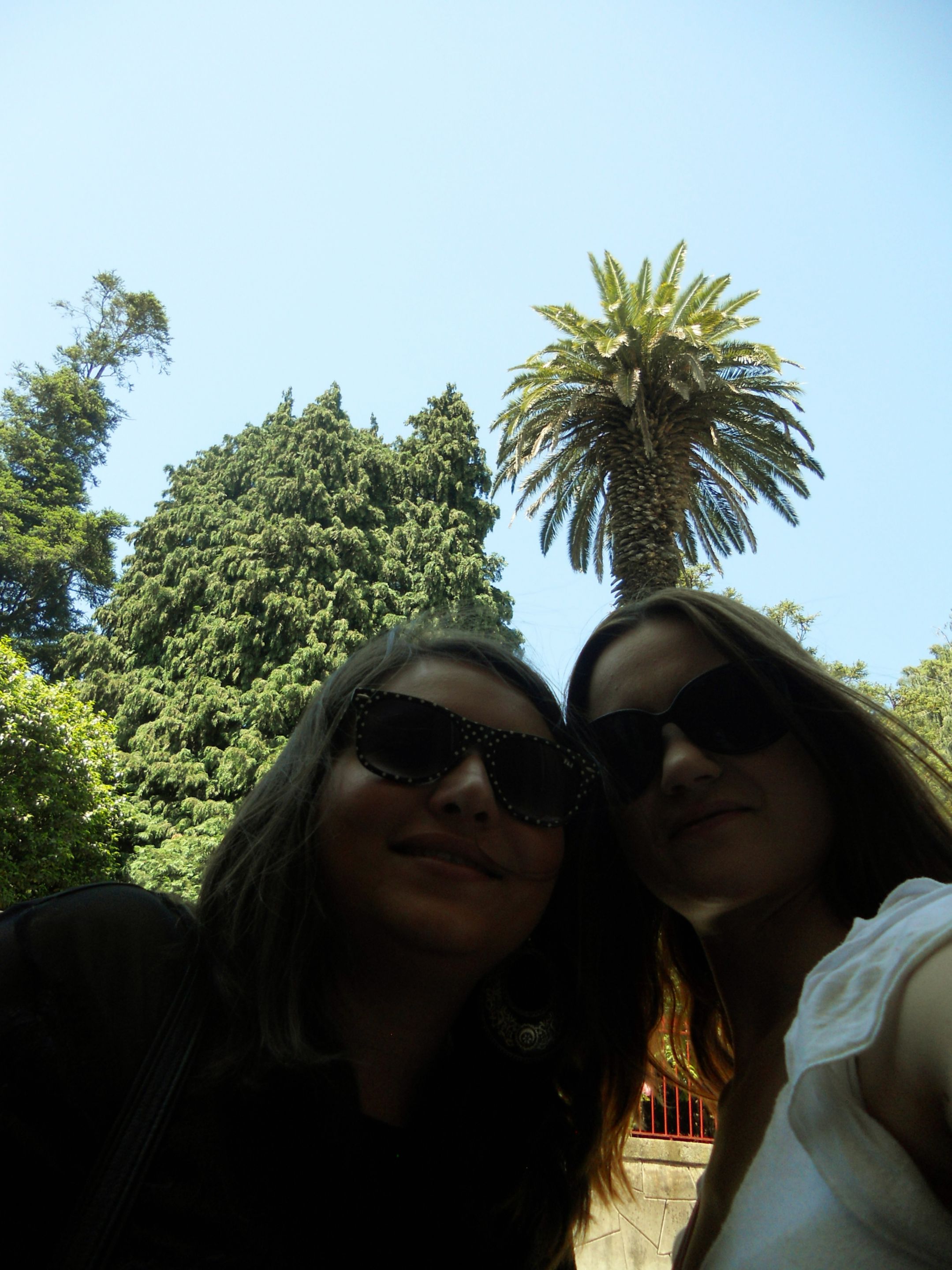 DSCN0299.JPG