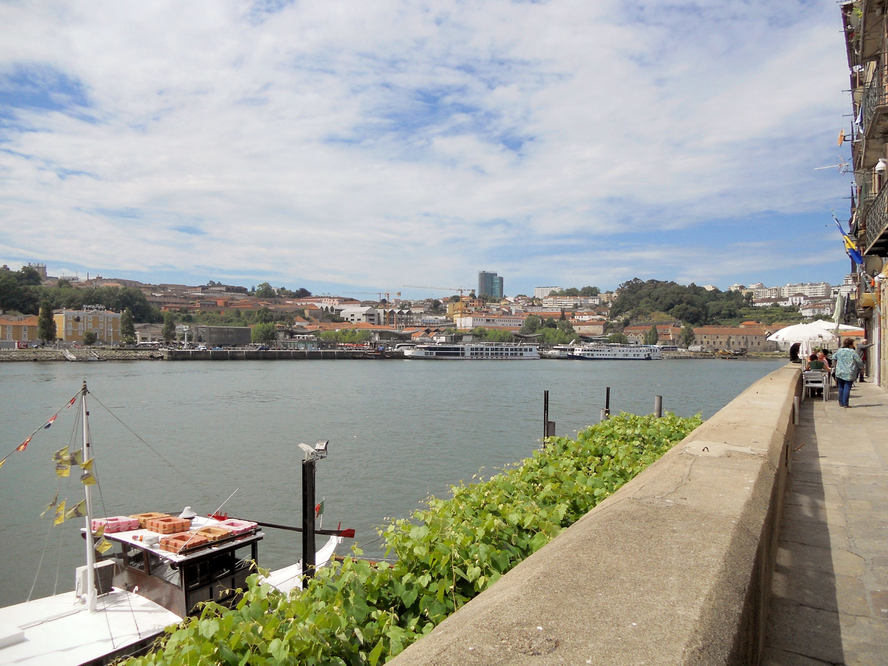 DSCN0179.JPG