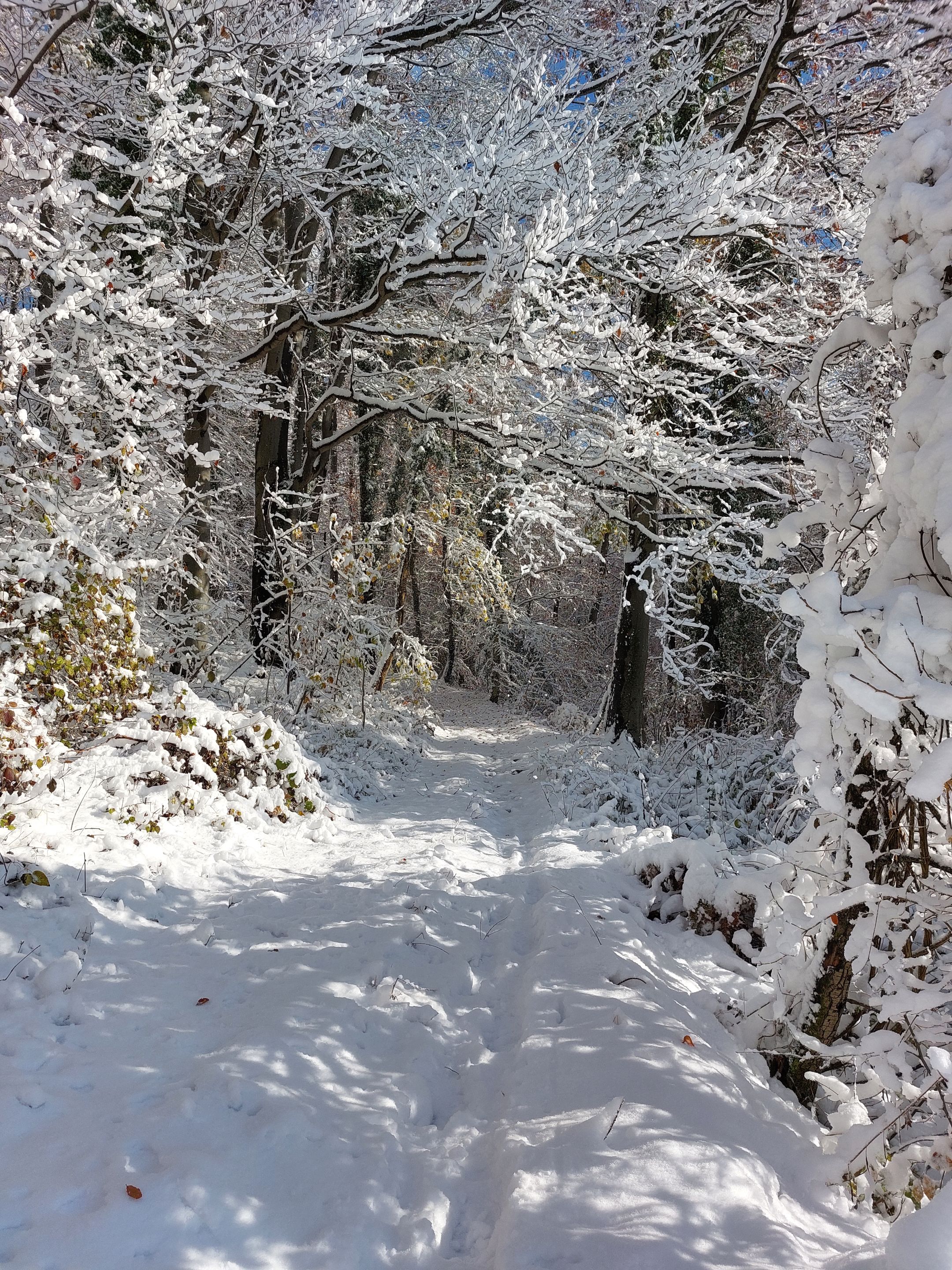 20231203_120153.jpg