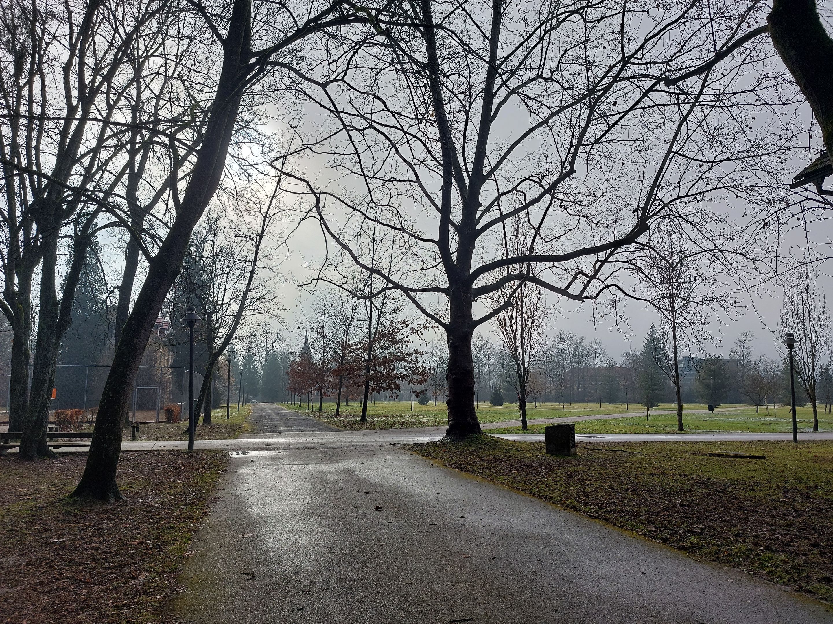 20230117_112516.jpg