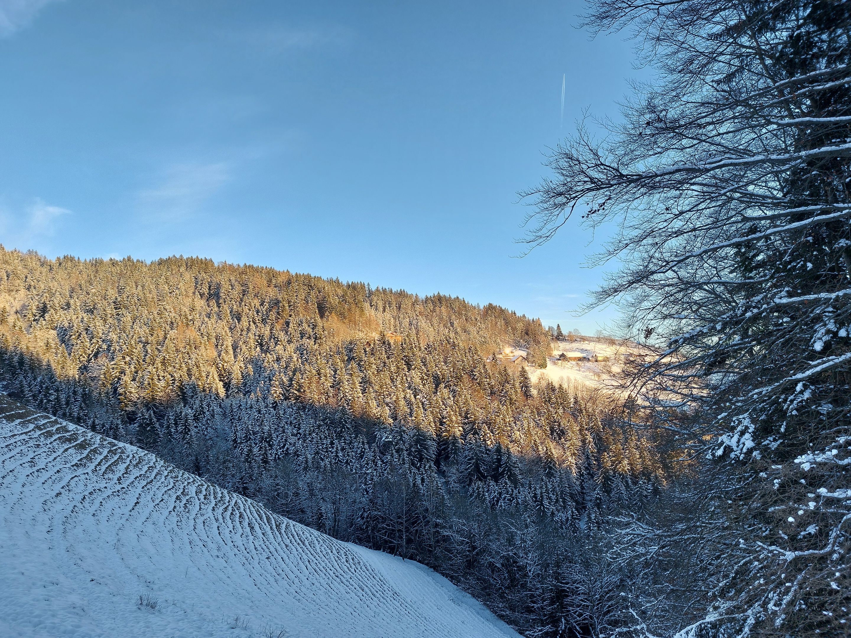 20240111_160533.jpg