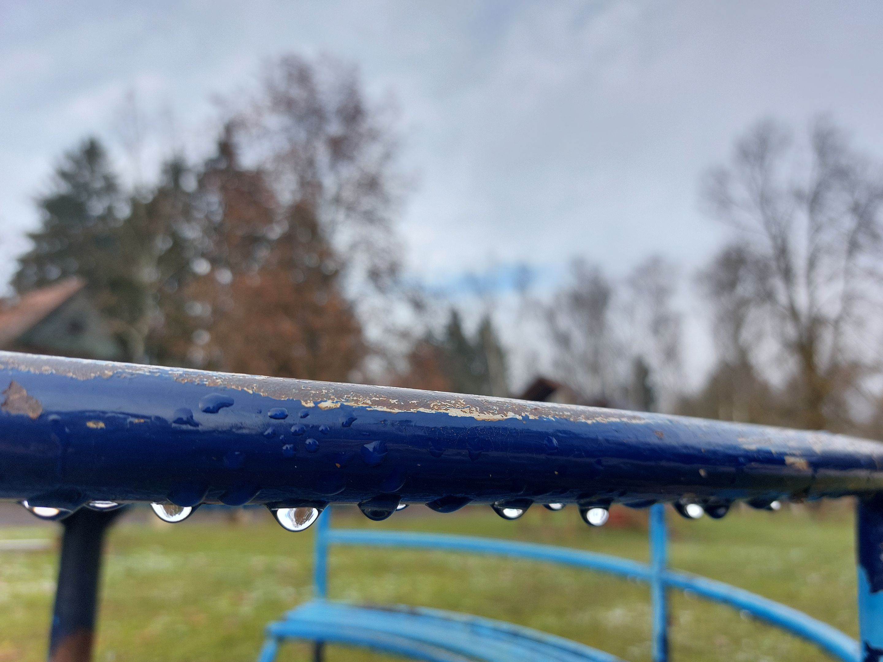 20230117_112908.jpg