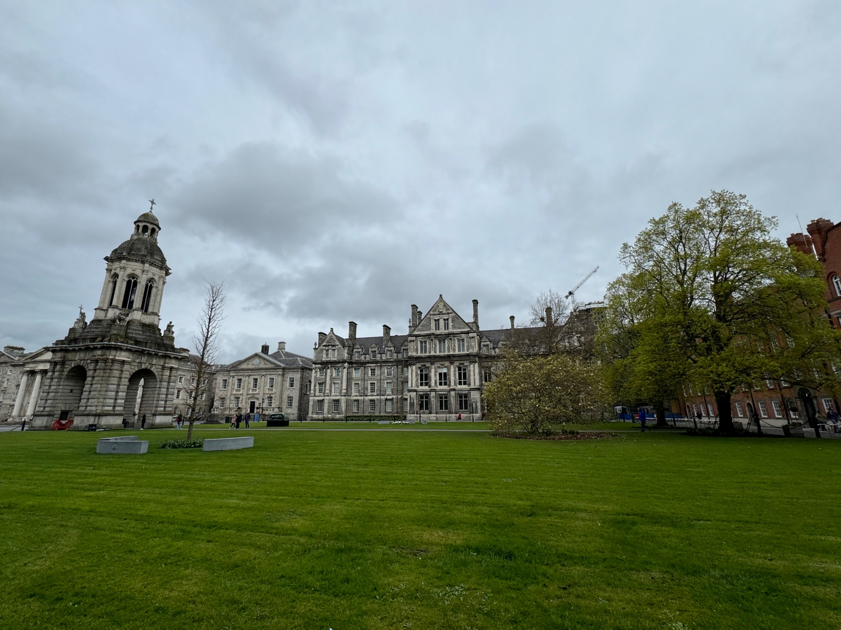 IMG_3985.jpeg