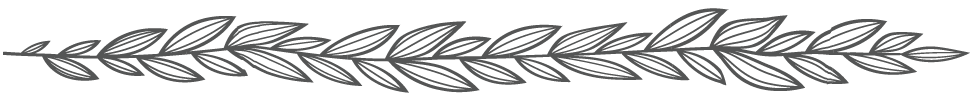 leaf 15.png