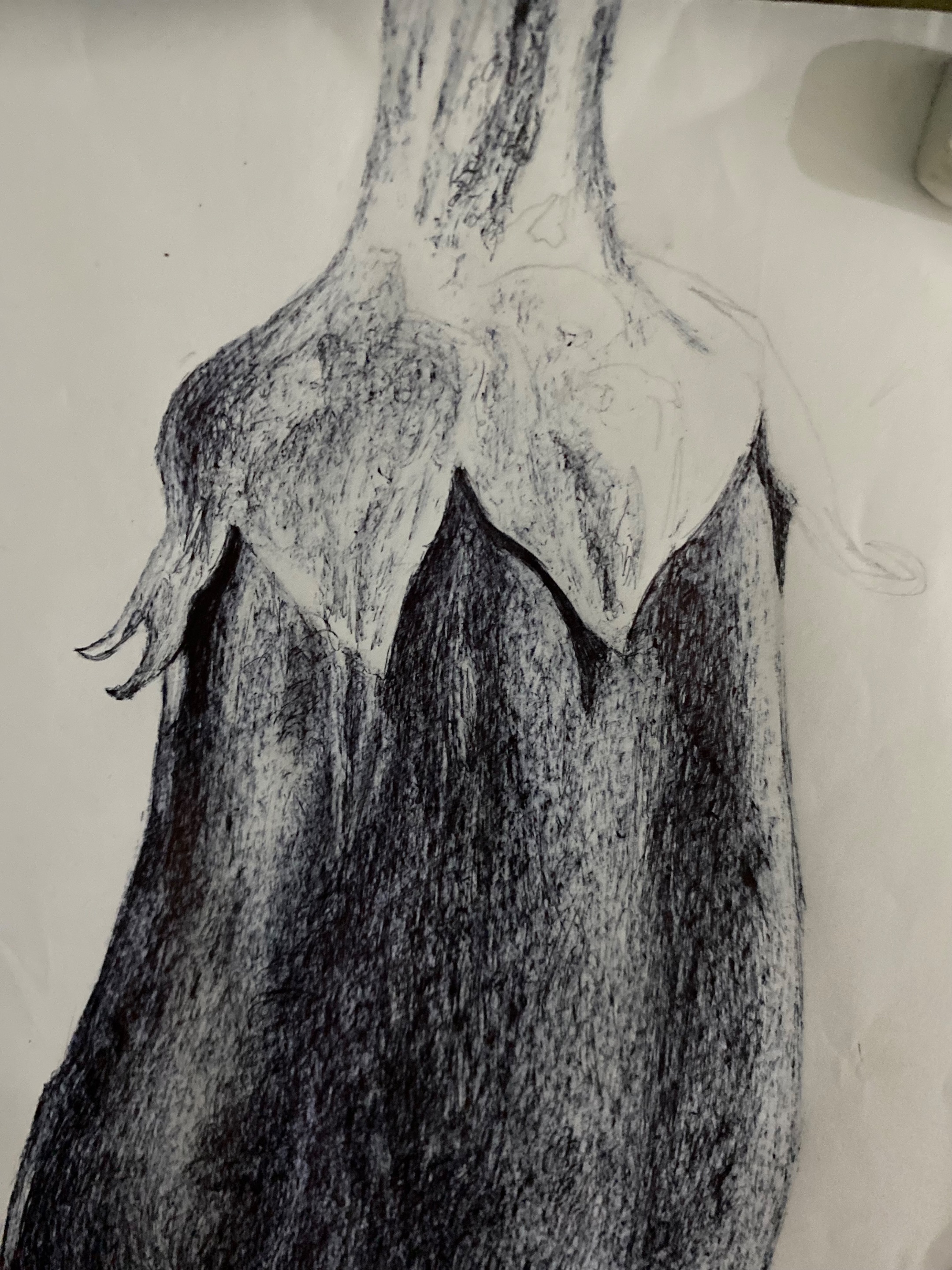 IMG_4504.jpeg