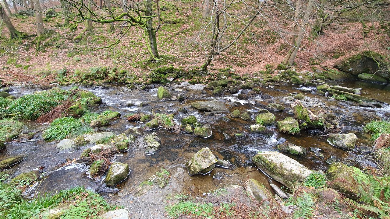 IMAGE 20201206 11:00:24.jpg
