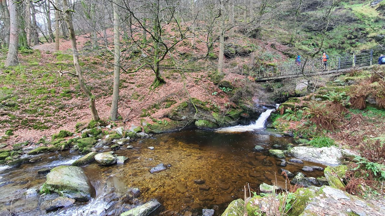 IMAGE 20201206 11:00:44.jpg