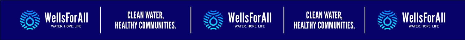 WellsForAll Divider 2.png