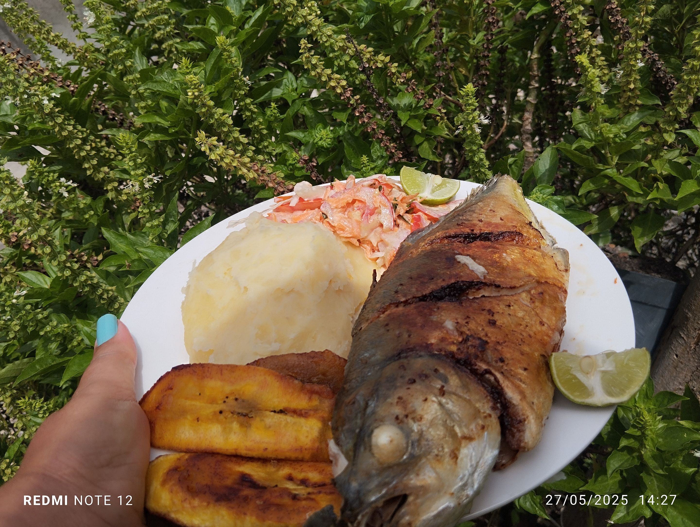 IMG_20250527_142751.jpg