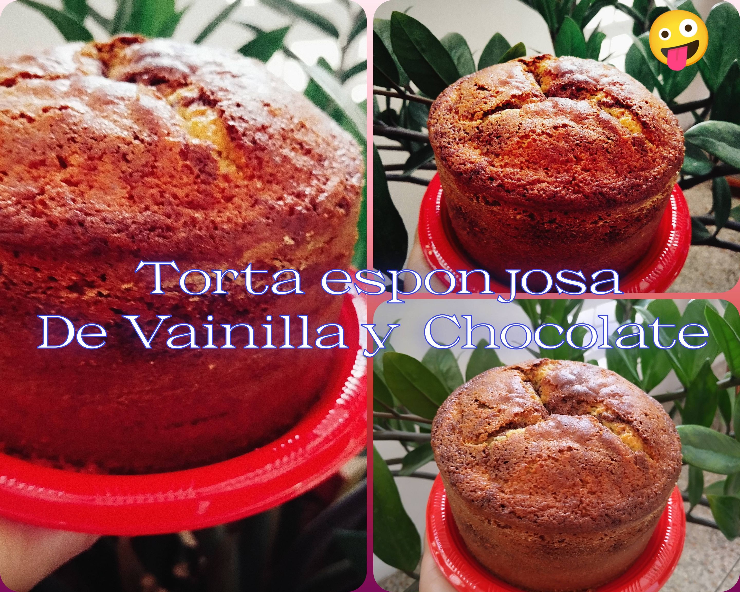 Torta esponjosa de vainilla y chocolate 