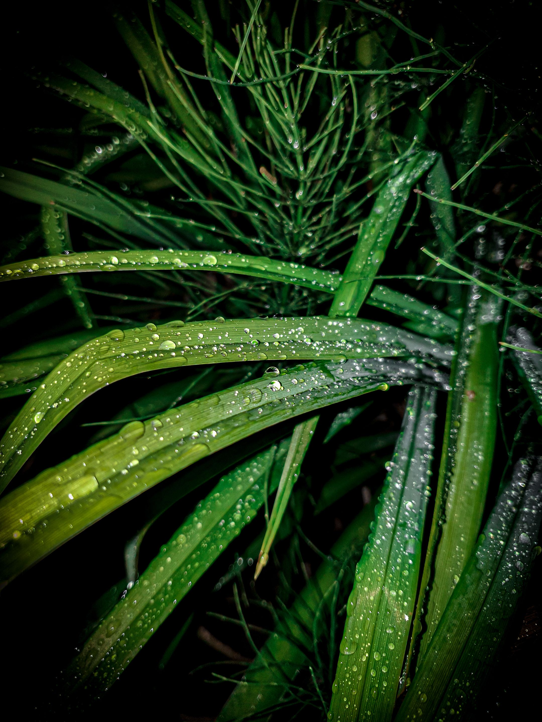 20220708_234848.jpg