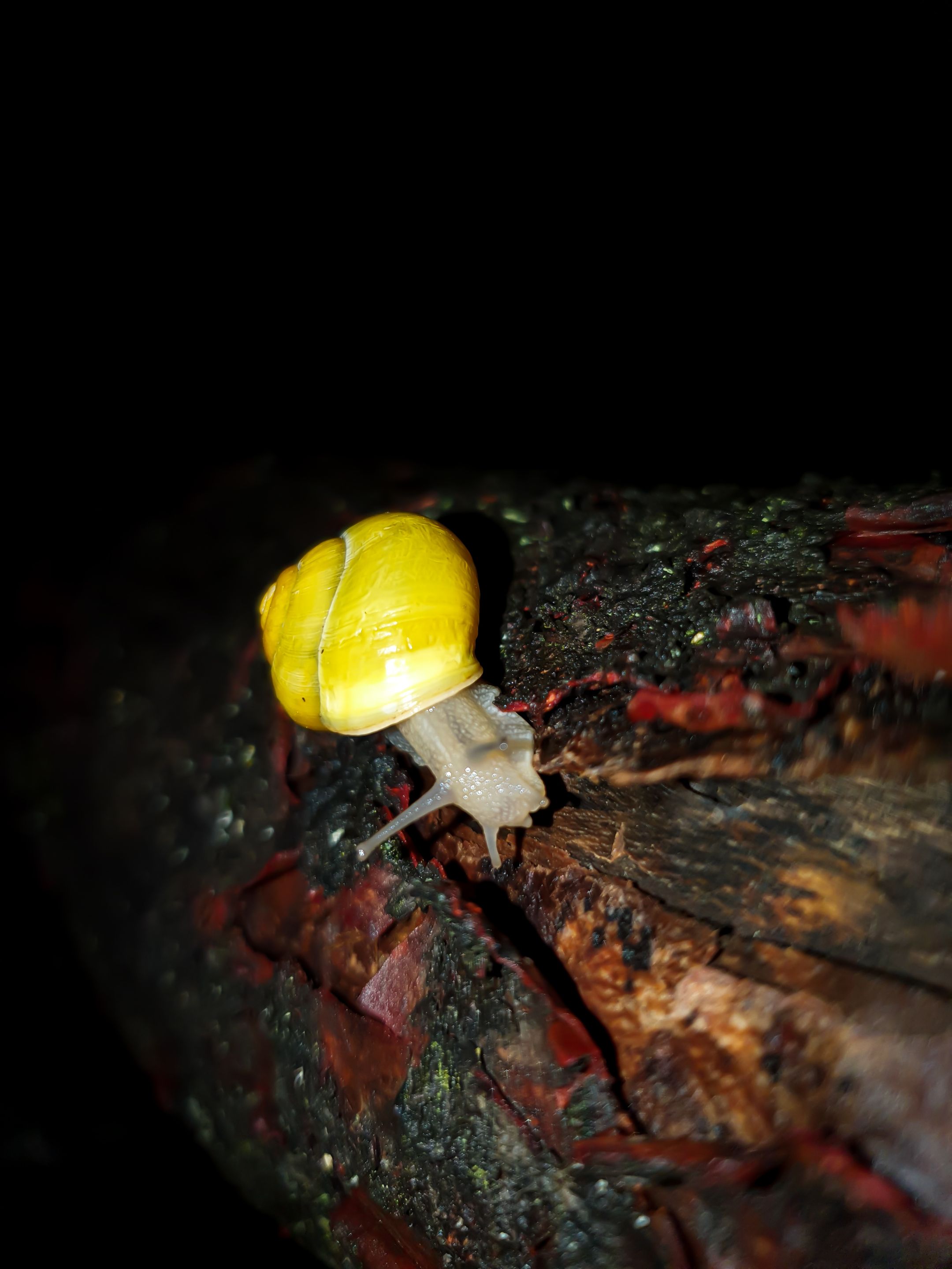 20220705_231003.jpg